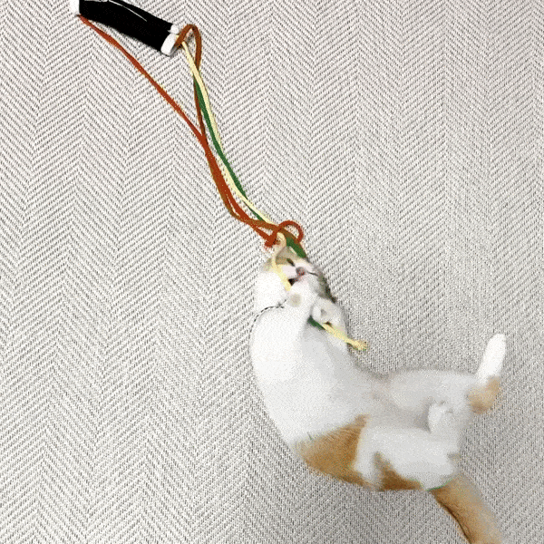Cats love these gimbap toys!