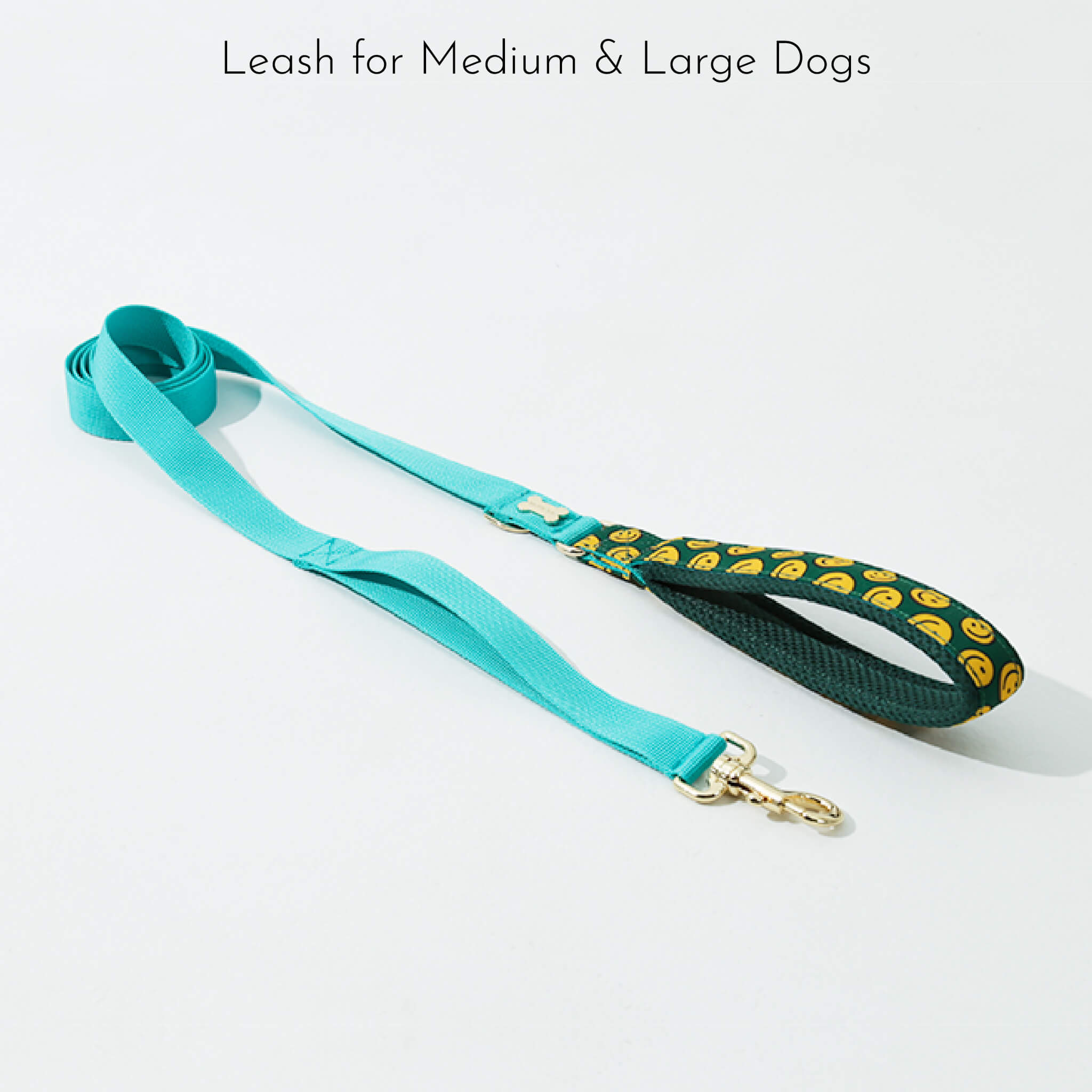 leash for medium & large dogs