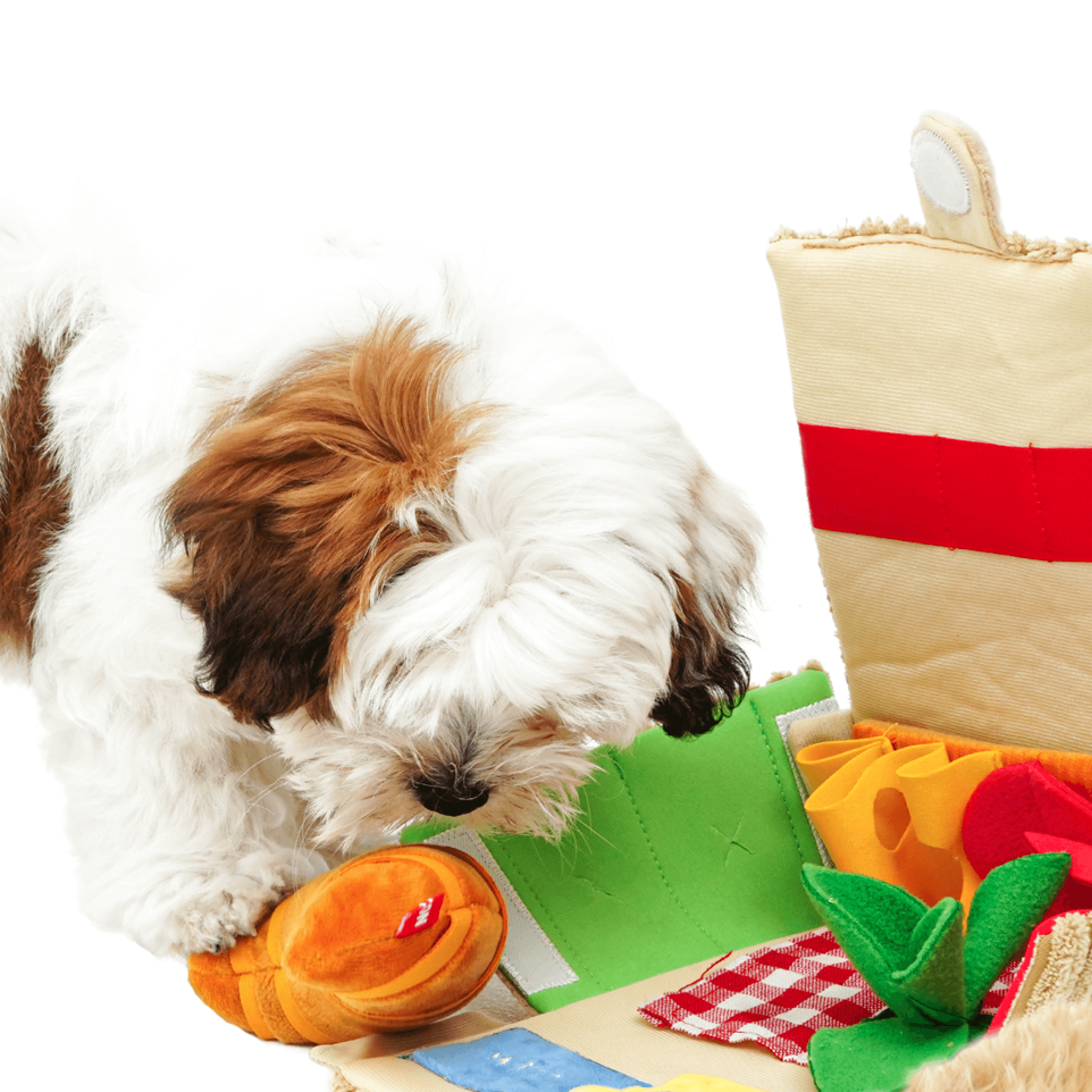 Picnic Basket Nosework Toy