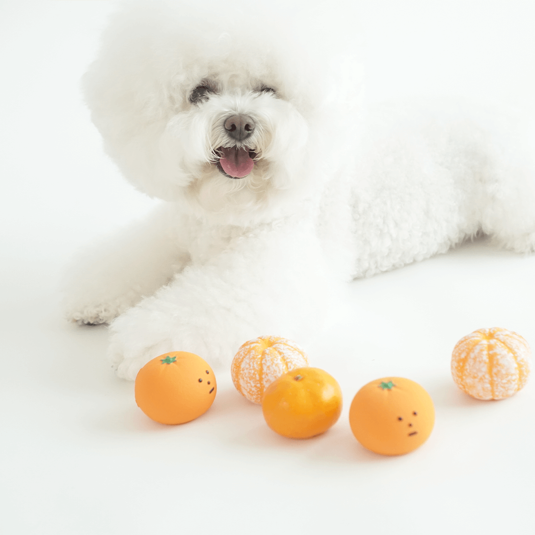 Squeaky Mandarin Toy