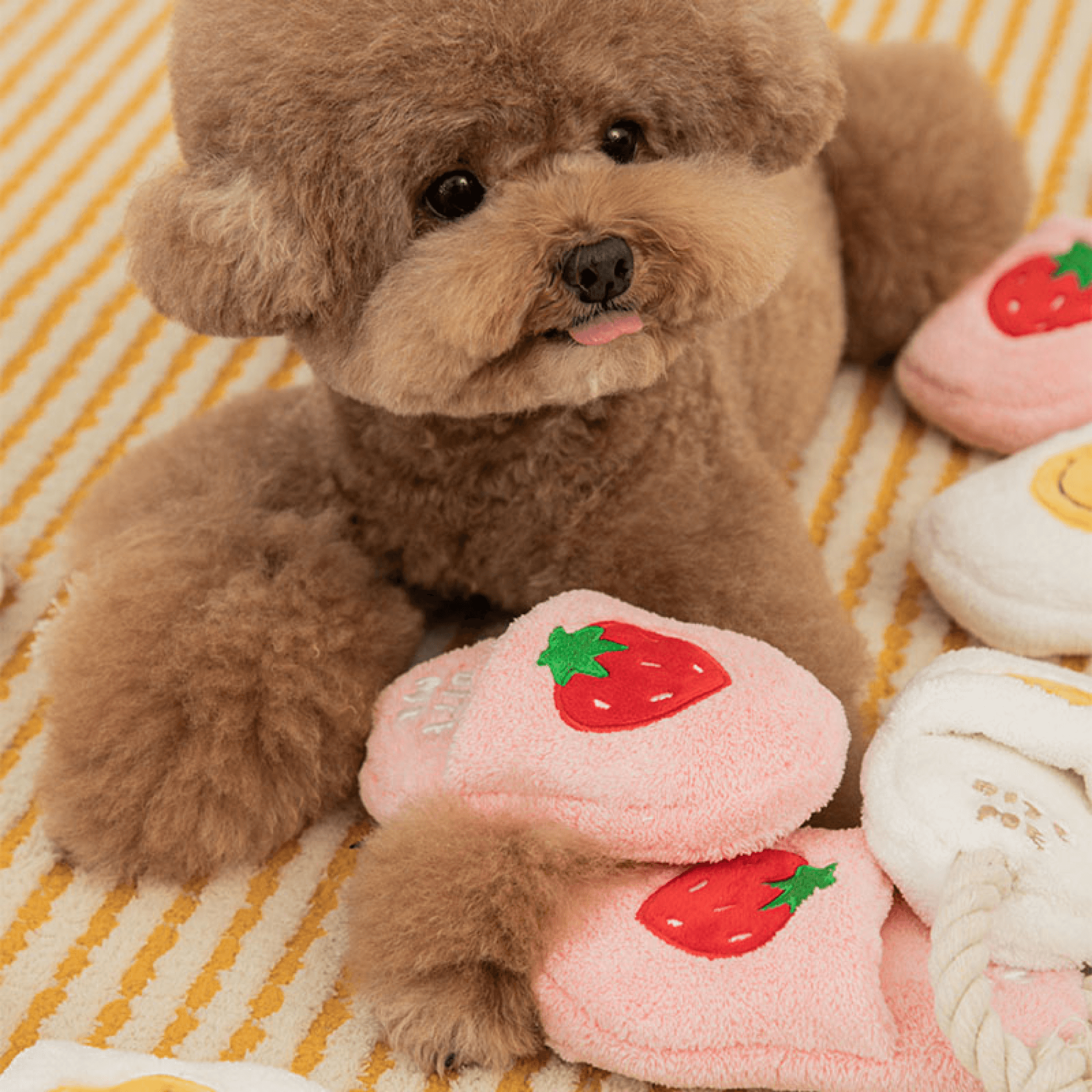 Slipper Tug Toy