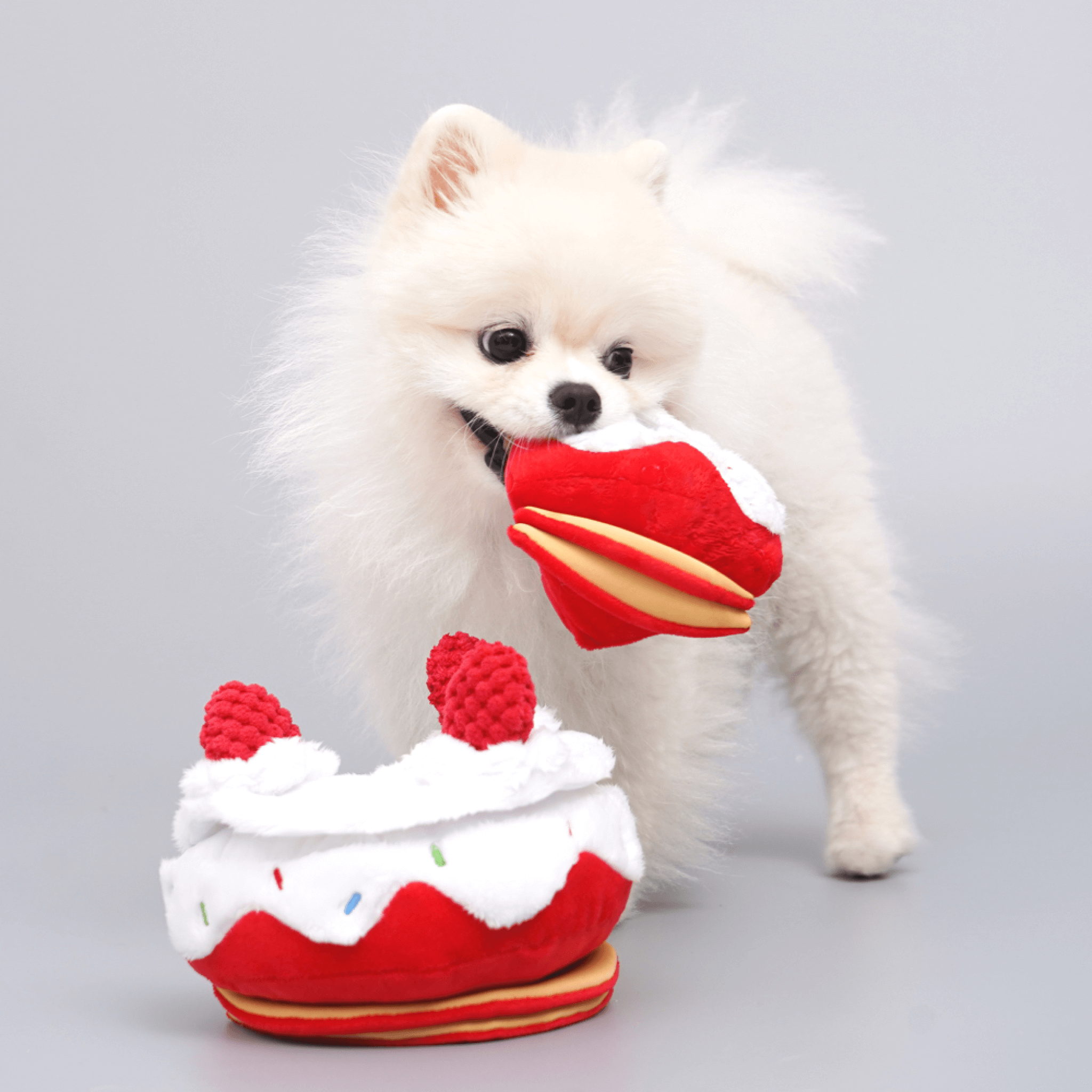 Cake Nosework Toy