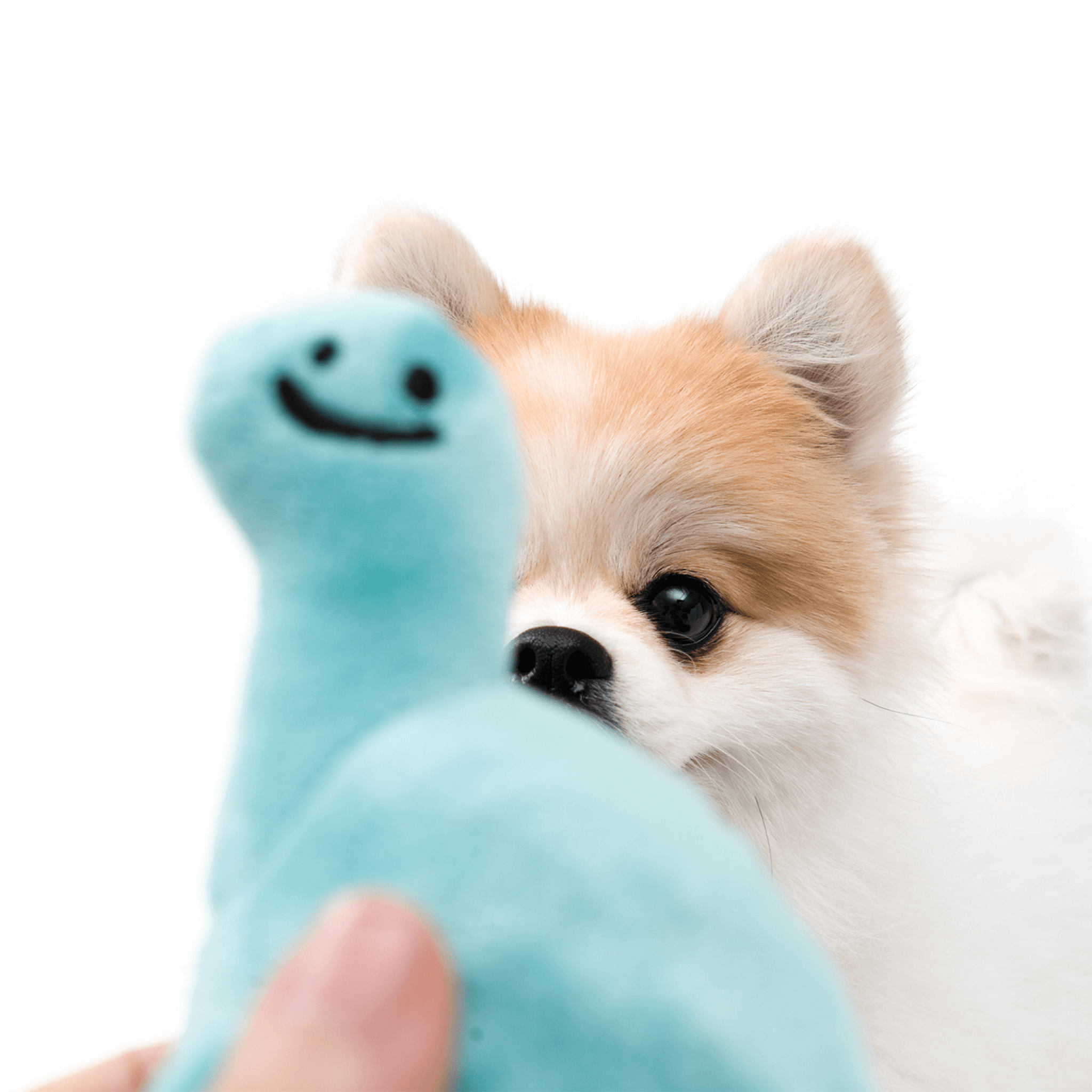 Baby Dinosaur Catch Toy