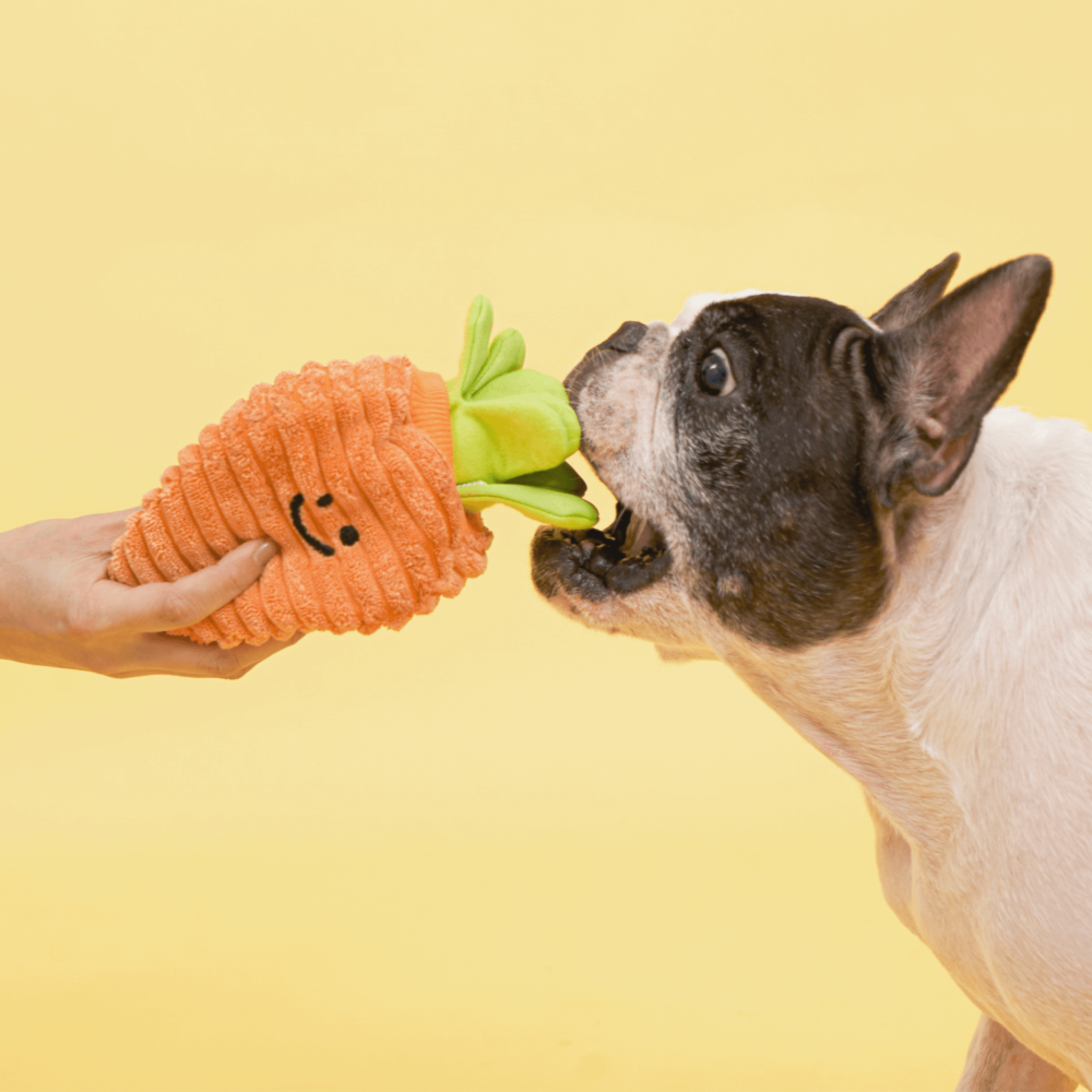 Large Carrot Nosework Toy