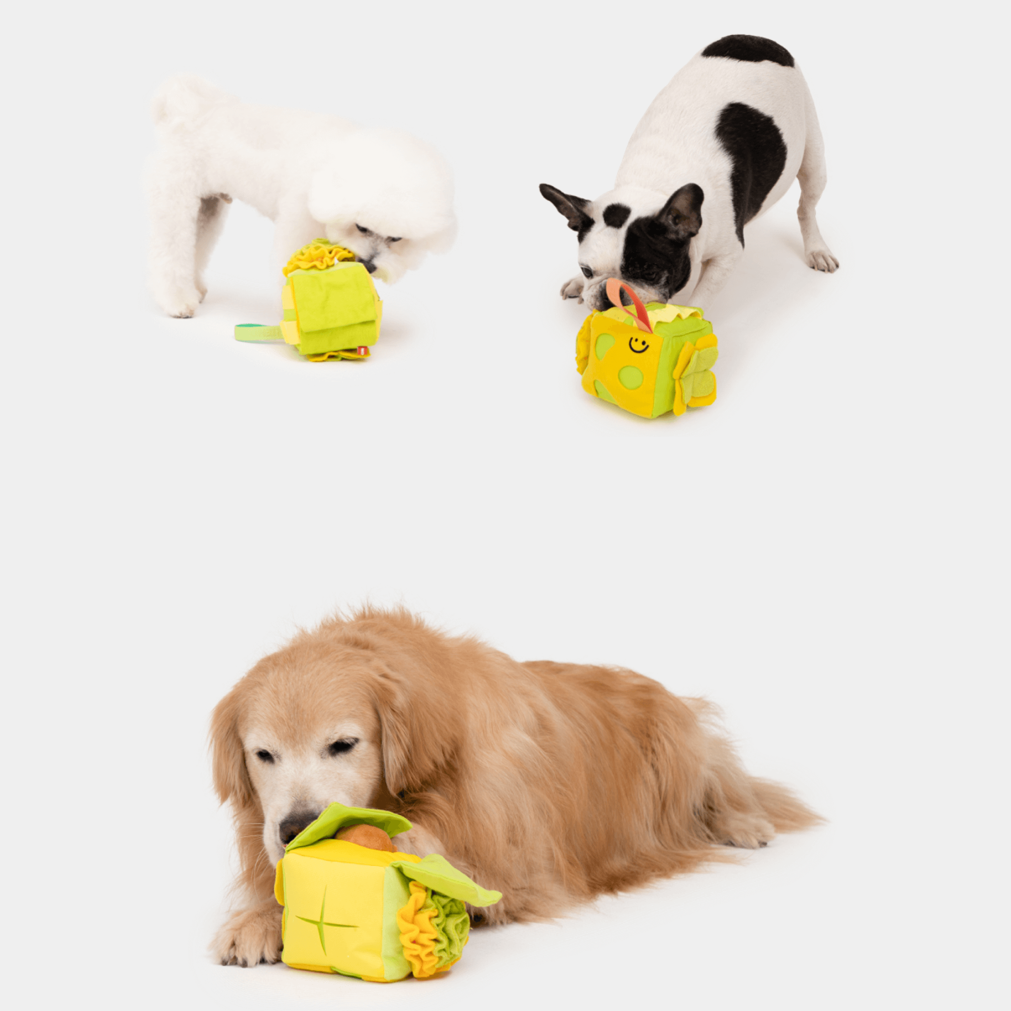 Cube Nosework Toy