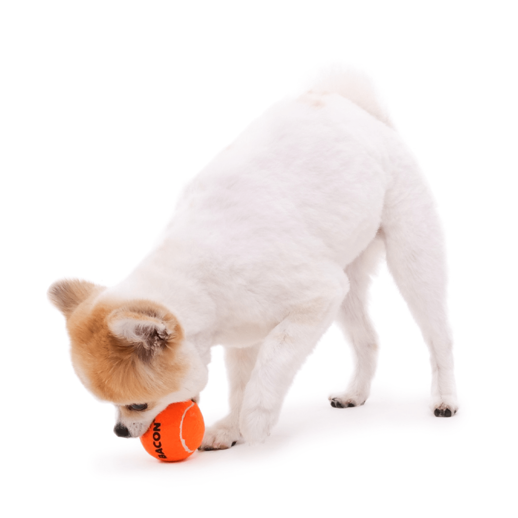 Cheese Ball Catch Toy Set