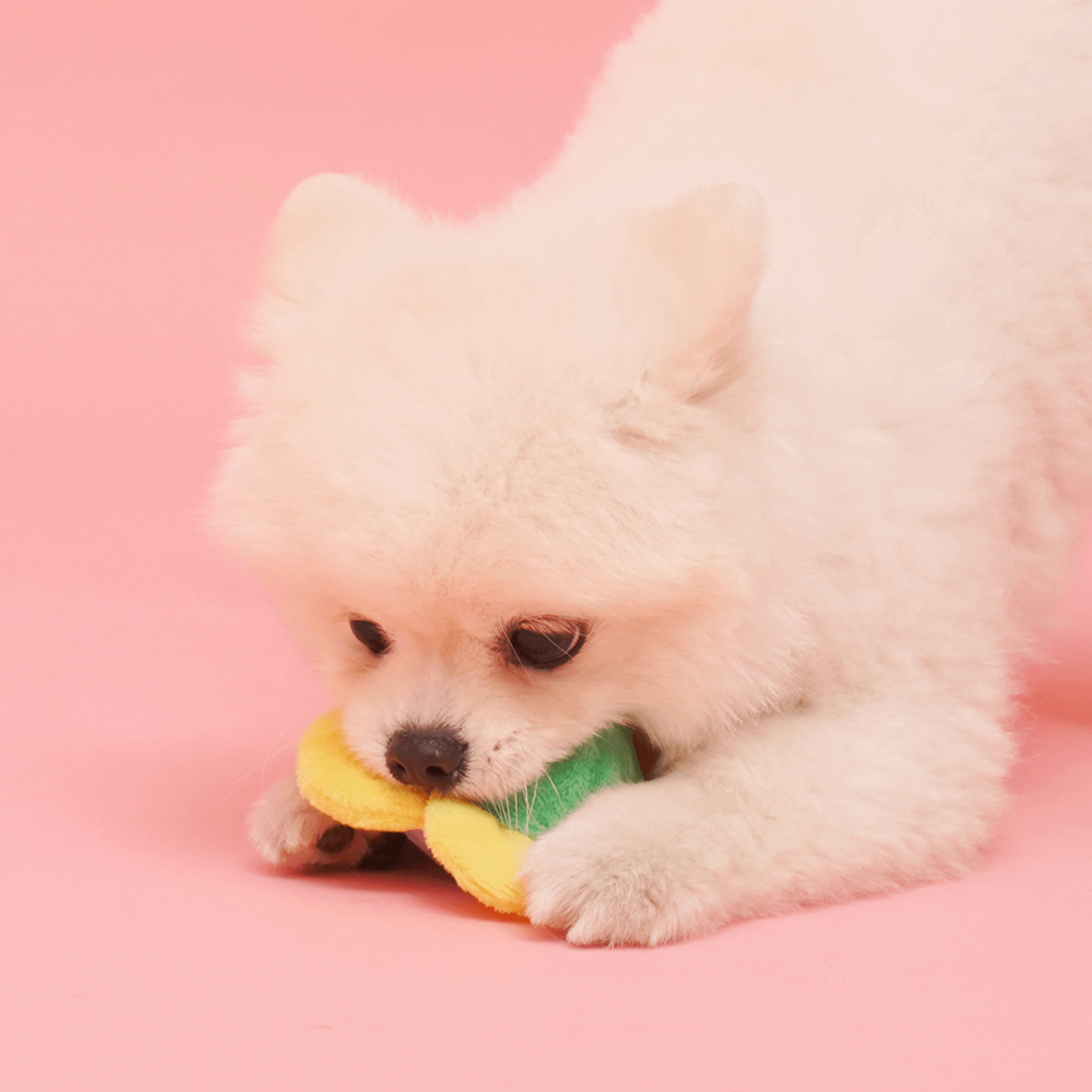Flower Ball Catch Toy