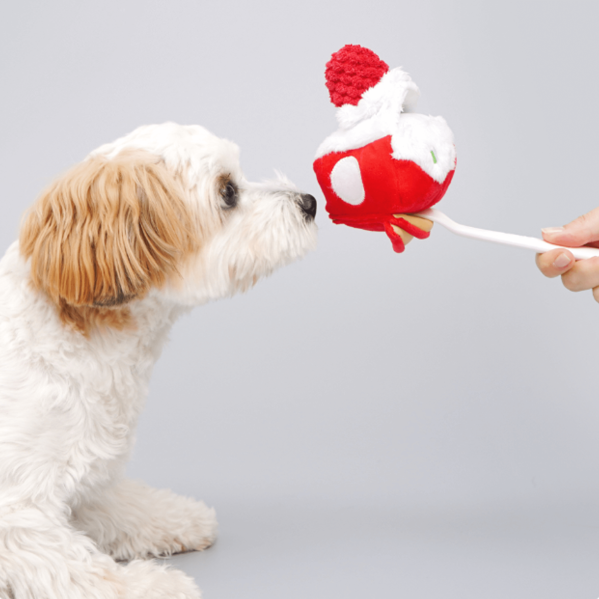 Cake Nosework Toy