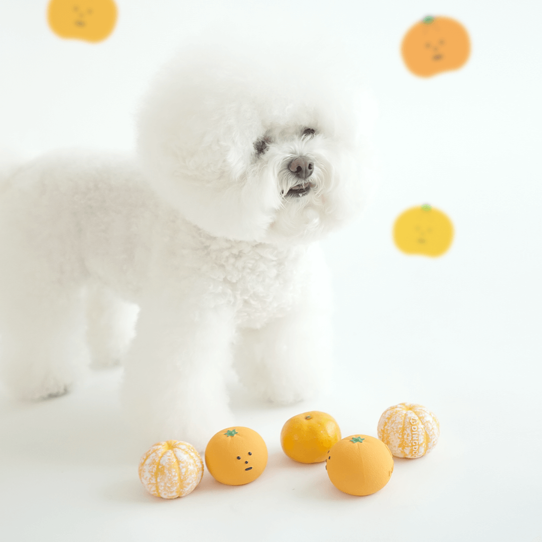 Squeaky Mandarin Toy