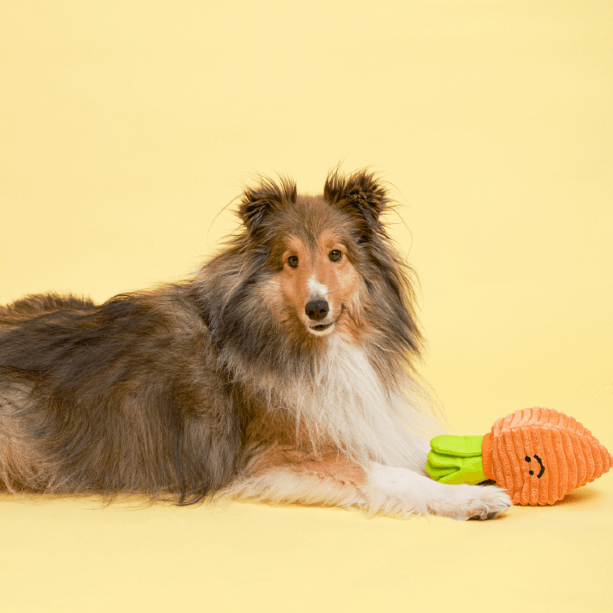 Large Carrot Nosework Toy