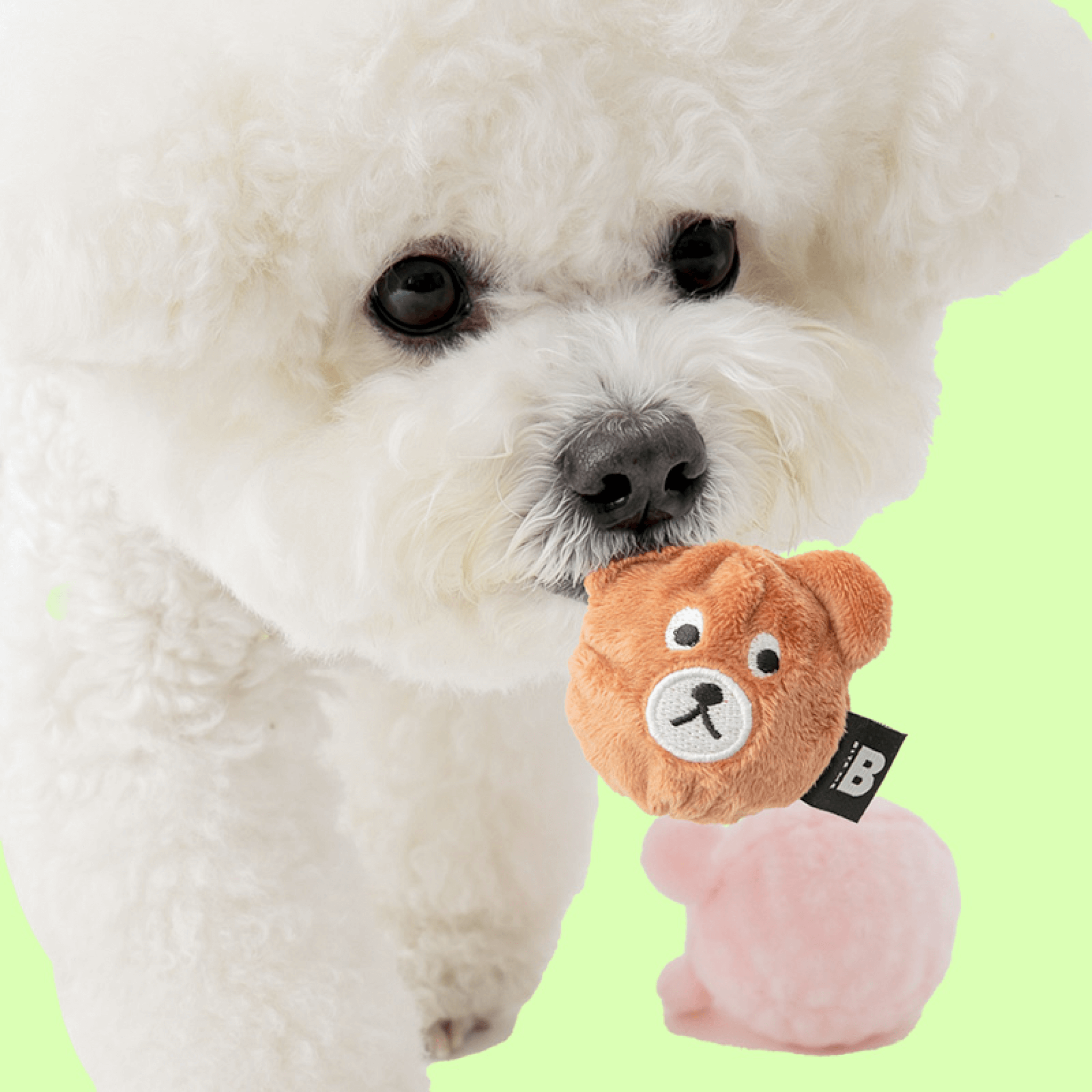 Farm Friends Squeaky Ball Toy