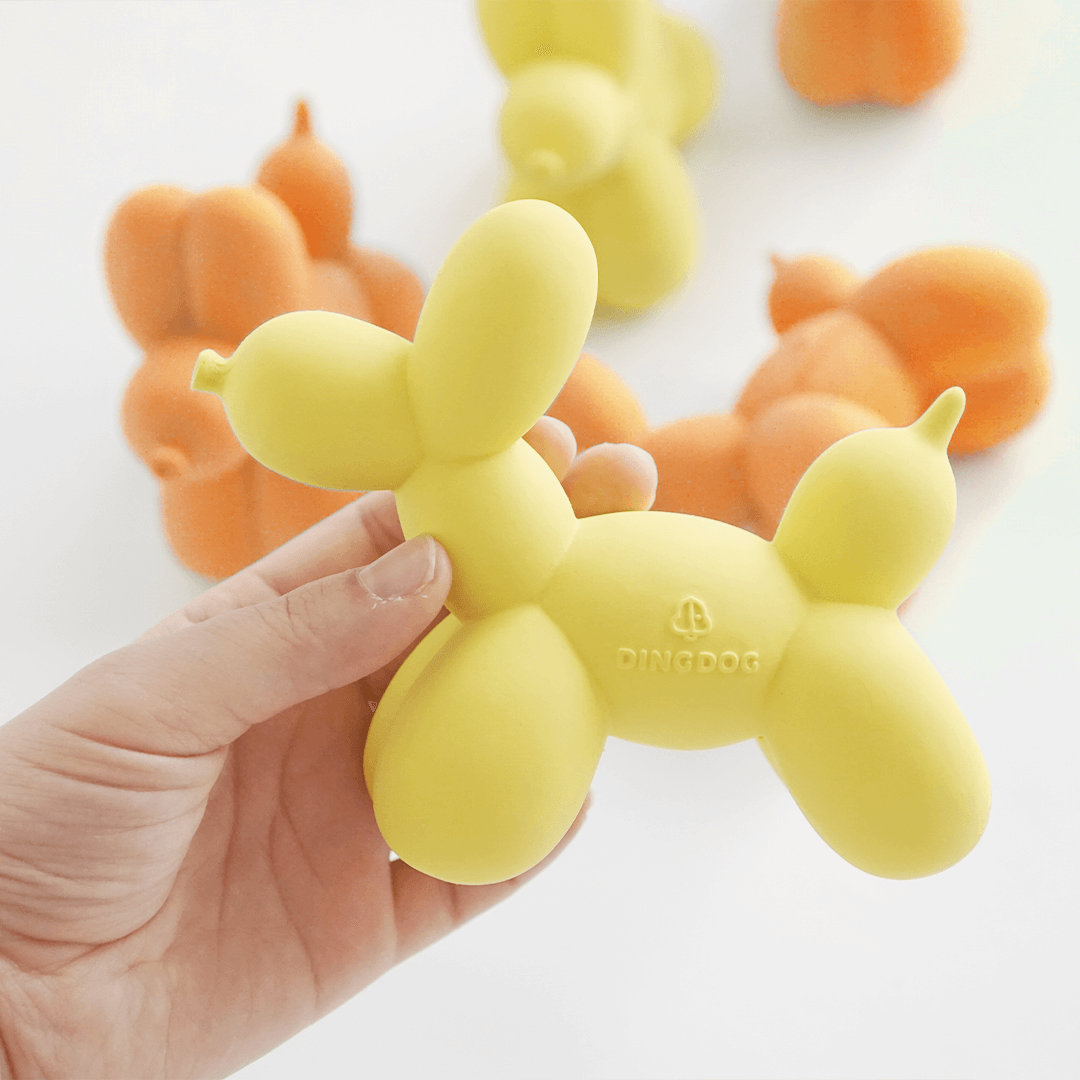Squeaky Balloon Toy