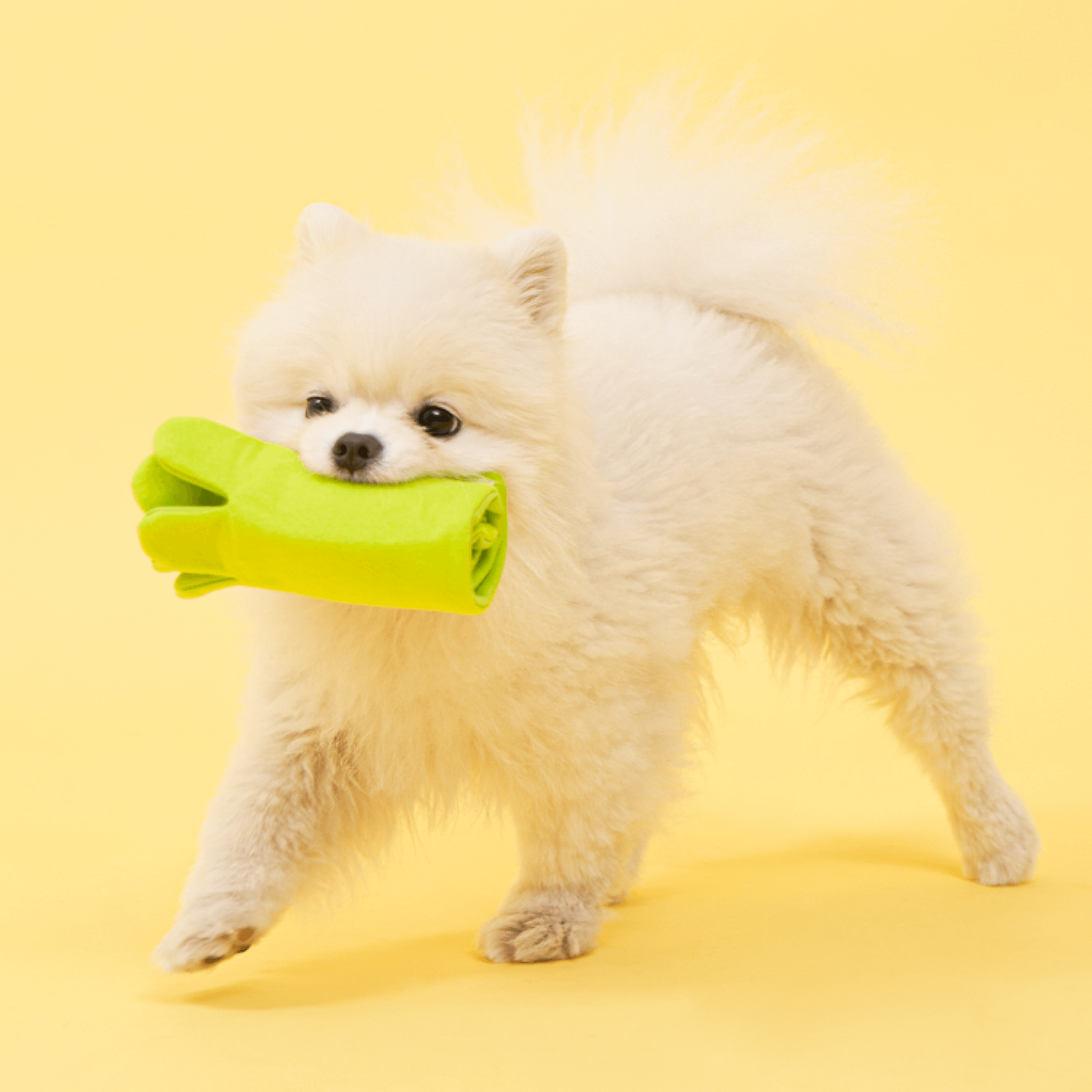 Large Carrot Nosework Toy
