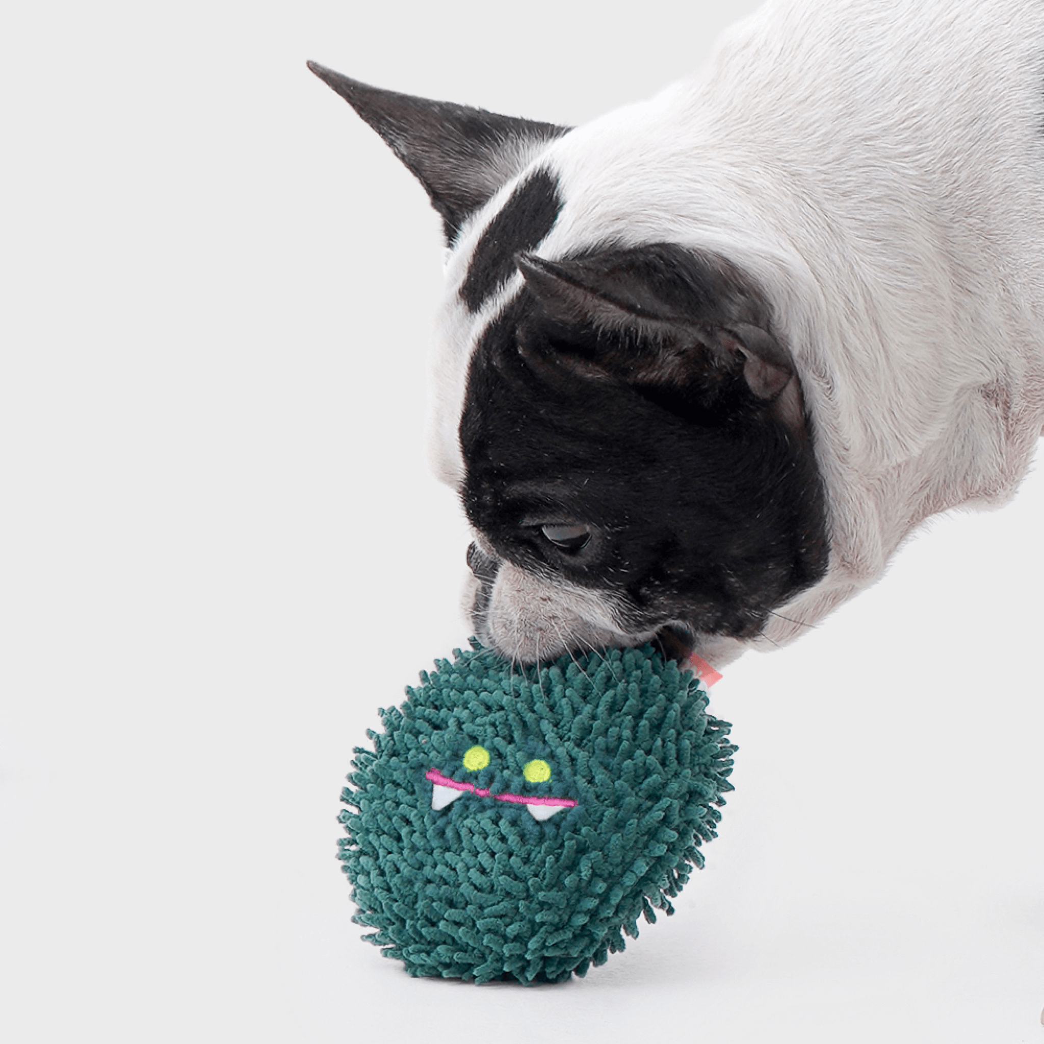 Dust Monsters Friends Toy