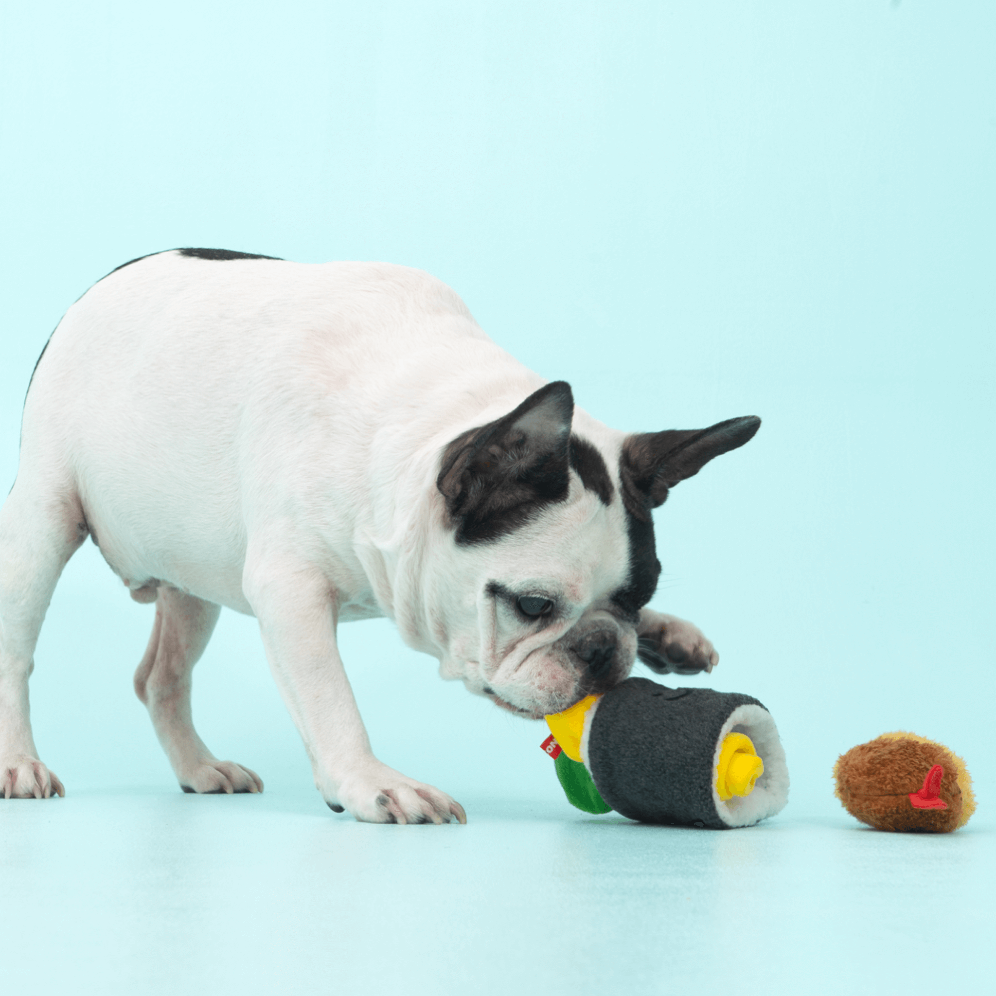 Giant Gimbap Nosework Toy