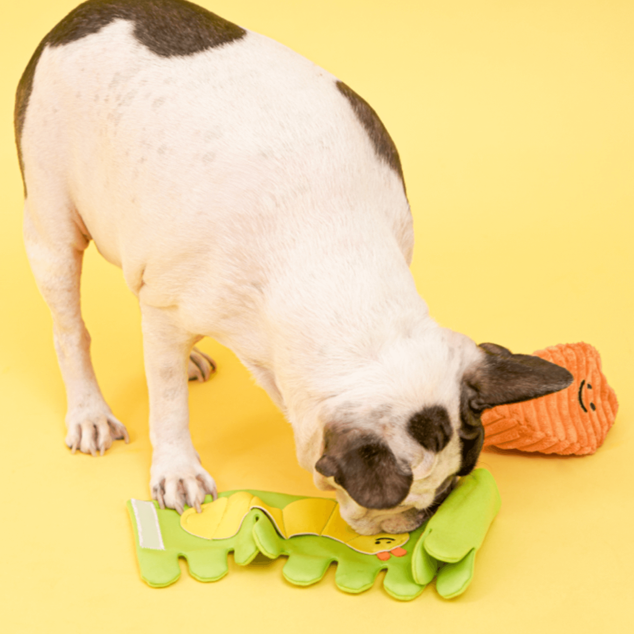 Large Carrot Nosework Toy