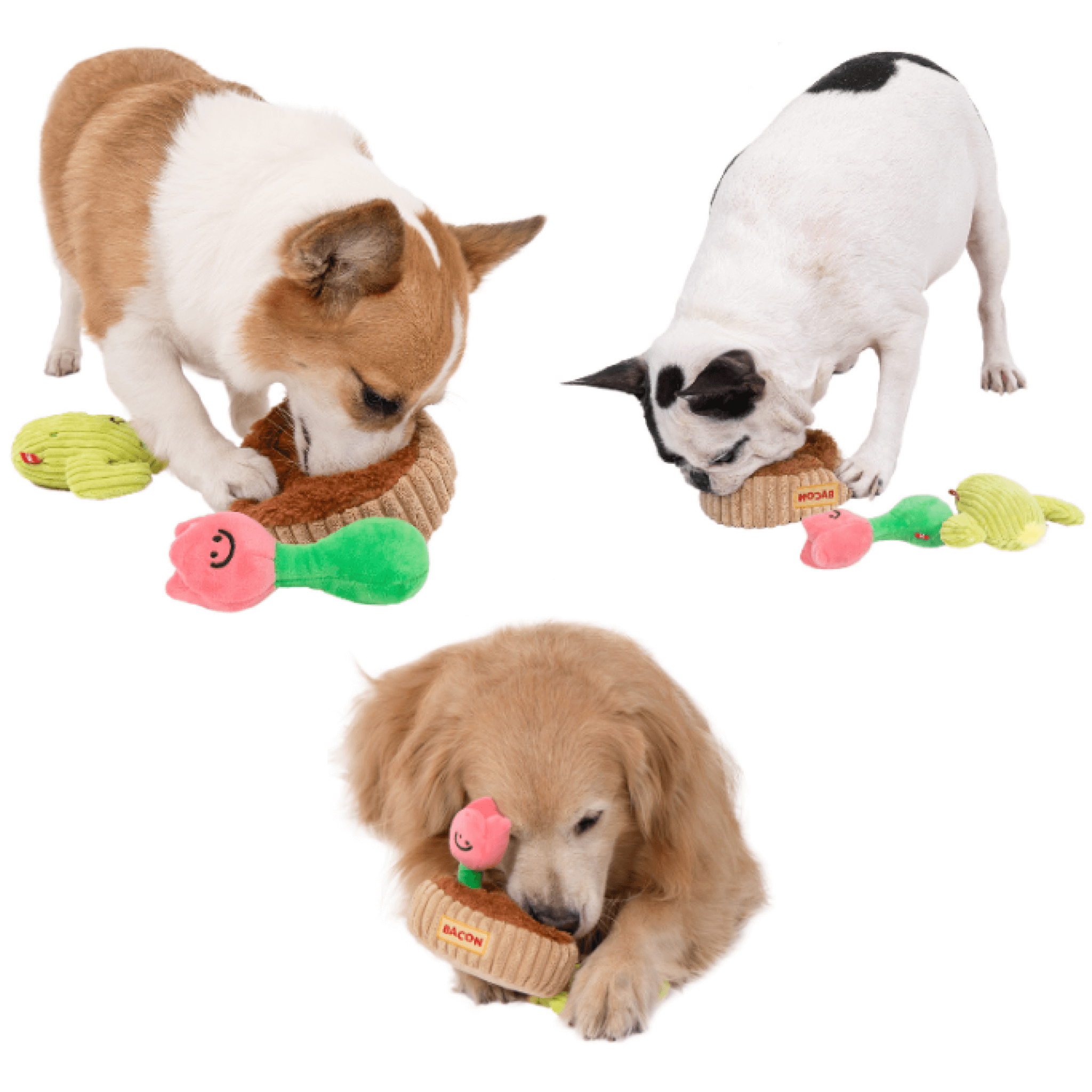 Garden Nosework Toy