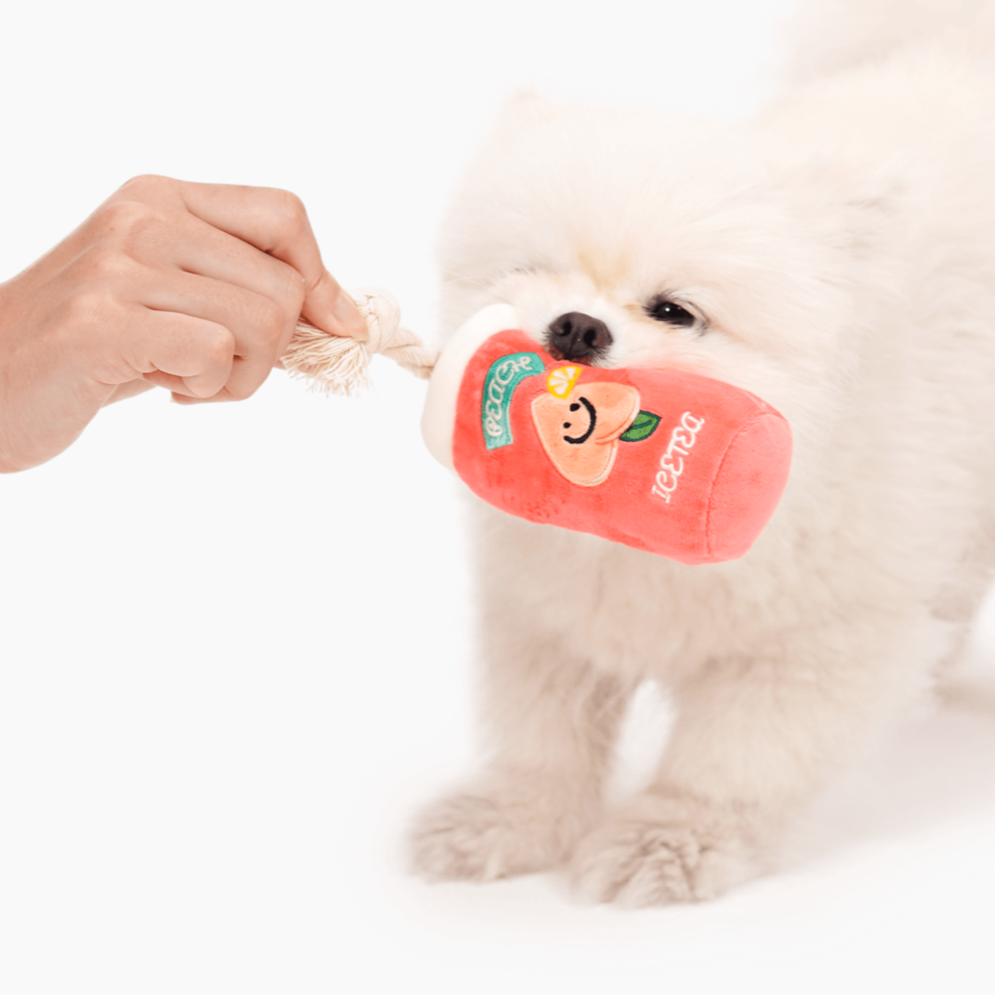 Peach Iced Tea Toy
