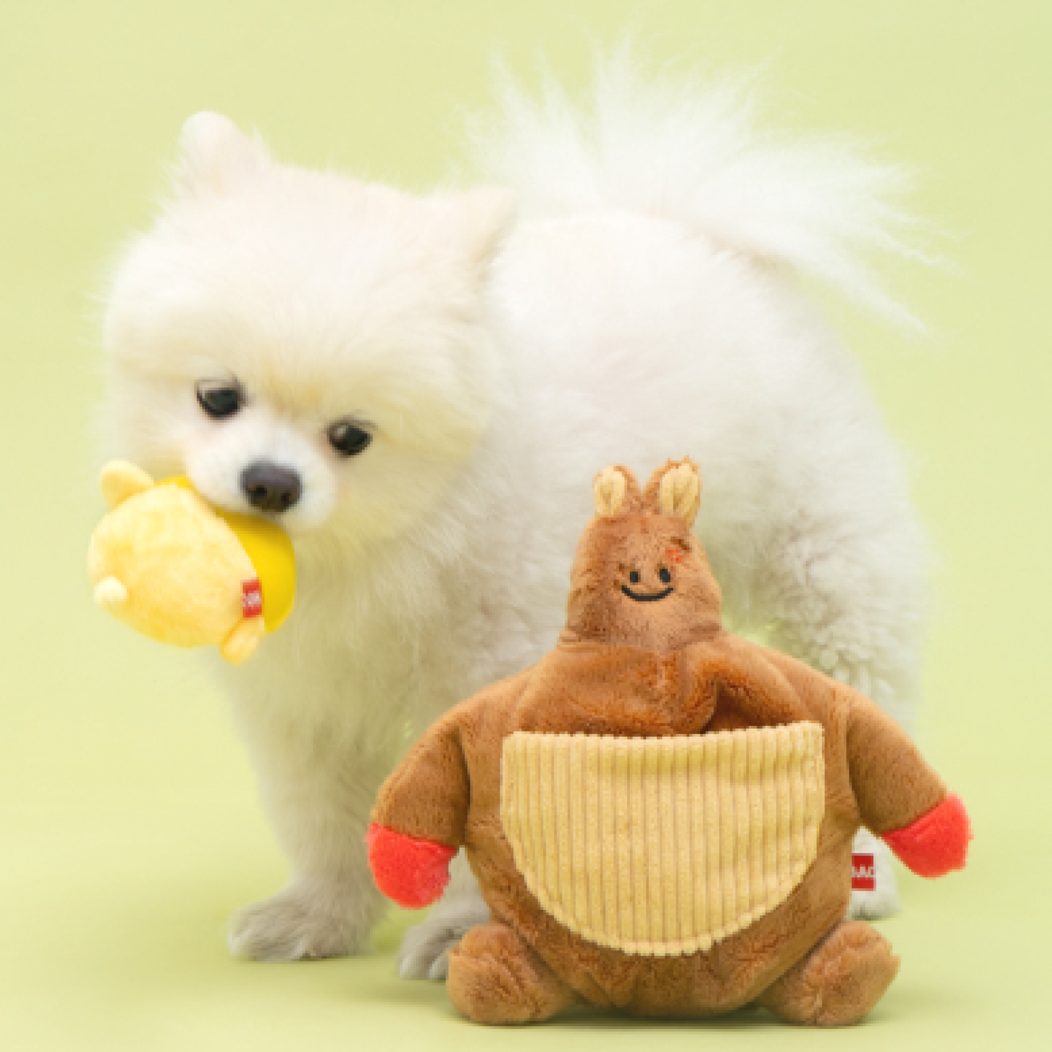 Bulk Up Kangaroo Toy