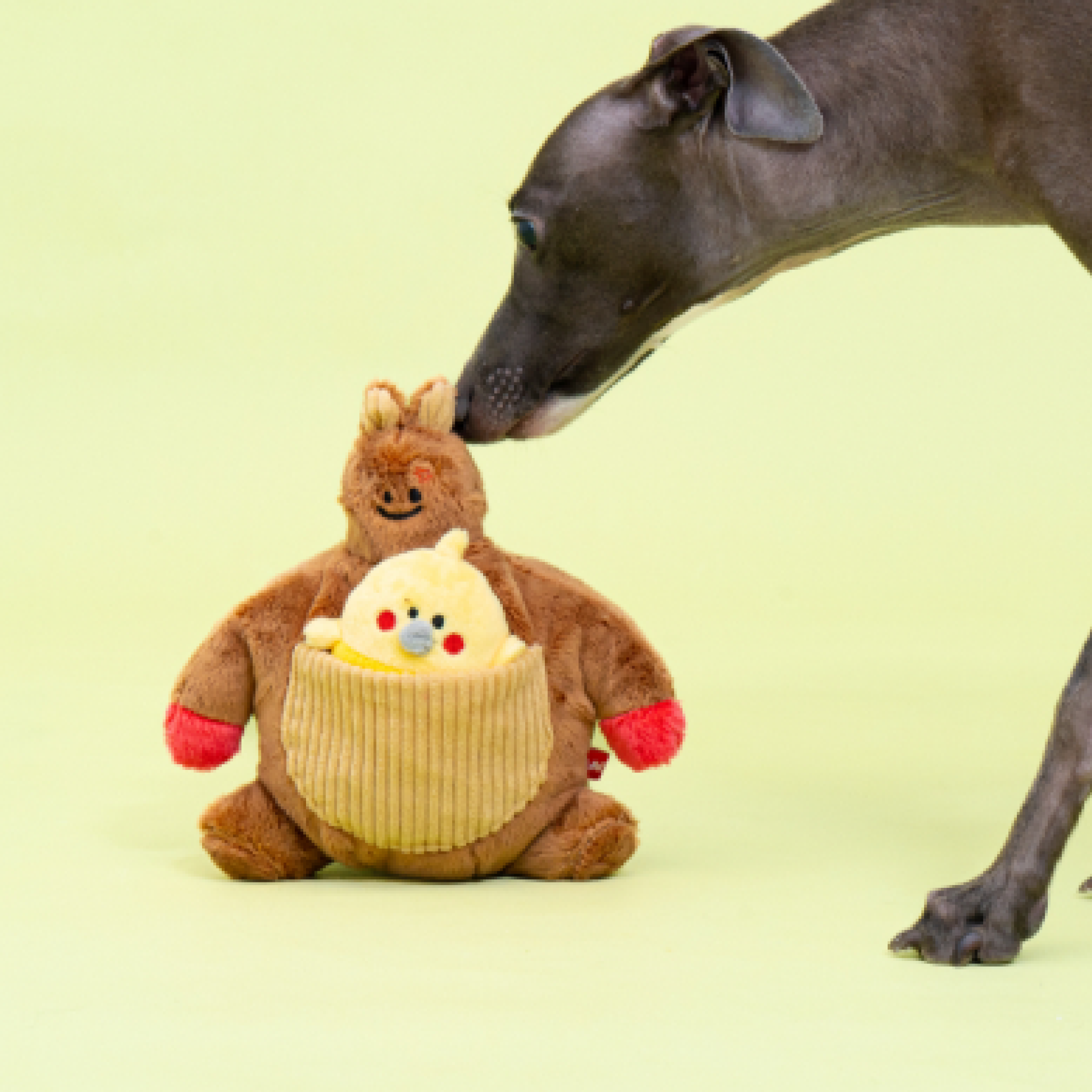 Bulk Up Kangaroo Toy