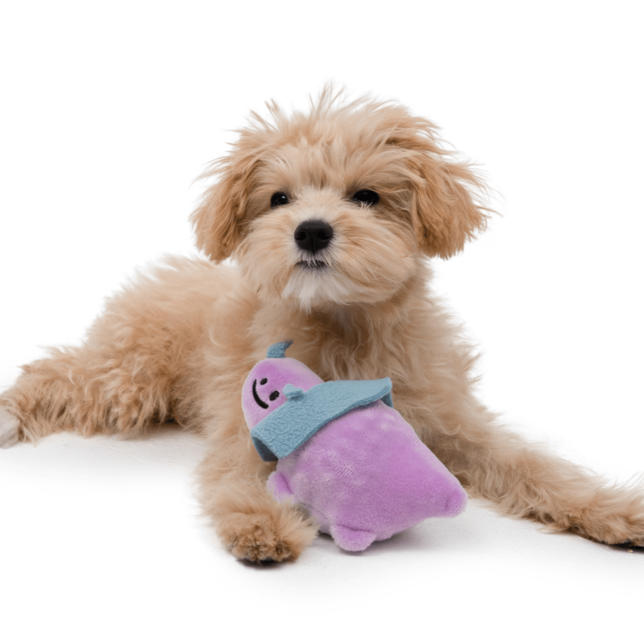 Baby Dinosaur Catch Toy