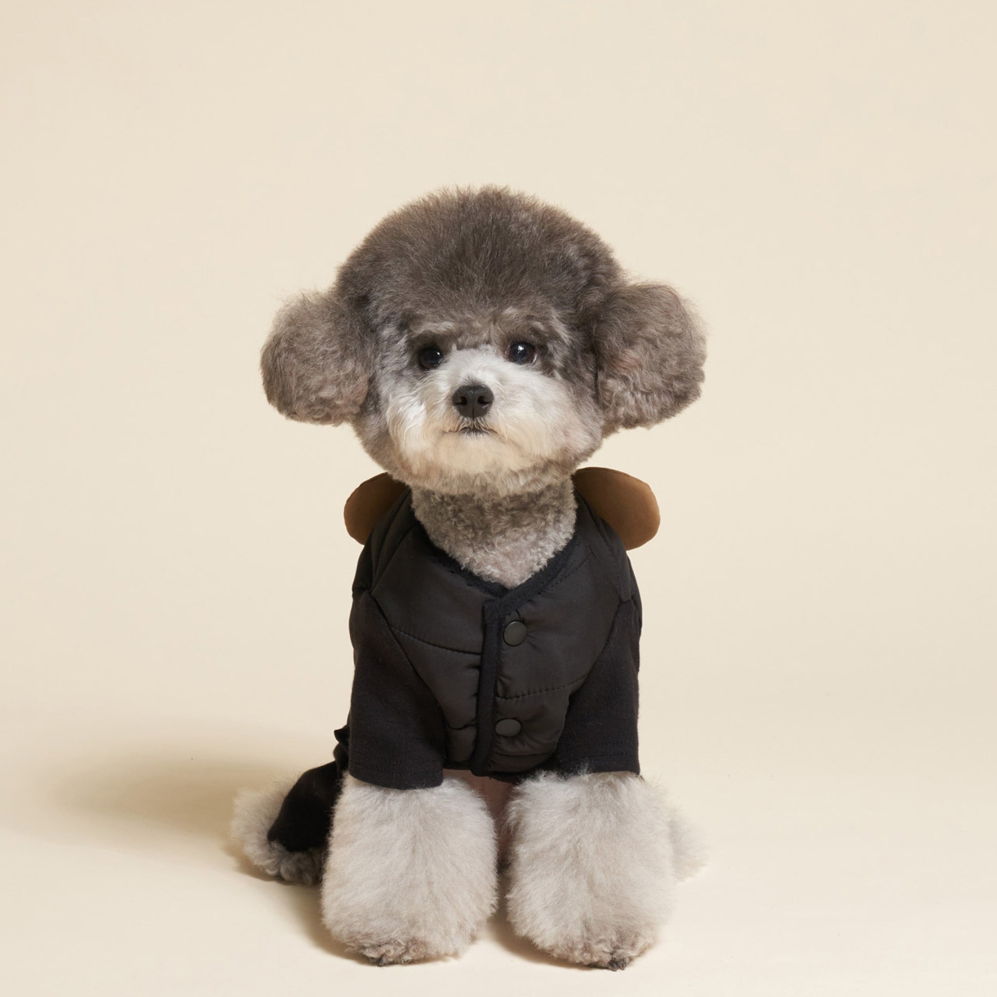 Dog wearing black padded bear jumpsuit while sitting front view