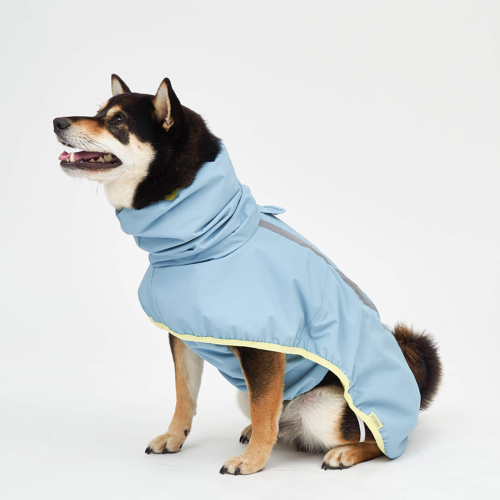 Rain coat in blue lemon. Model is wearing a 3L.