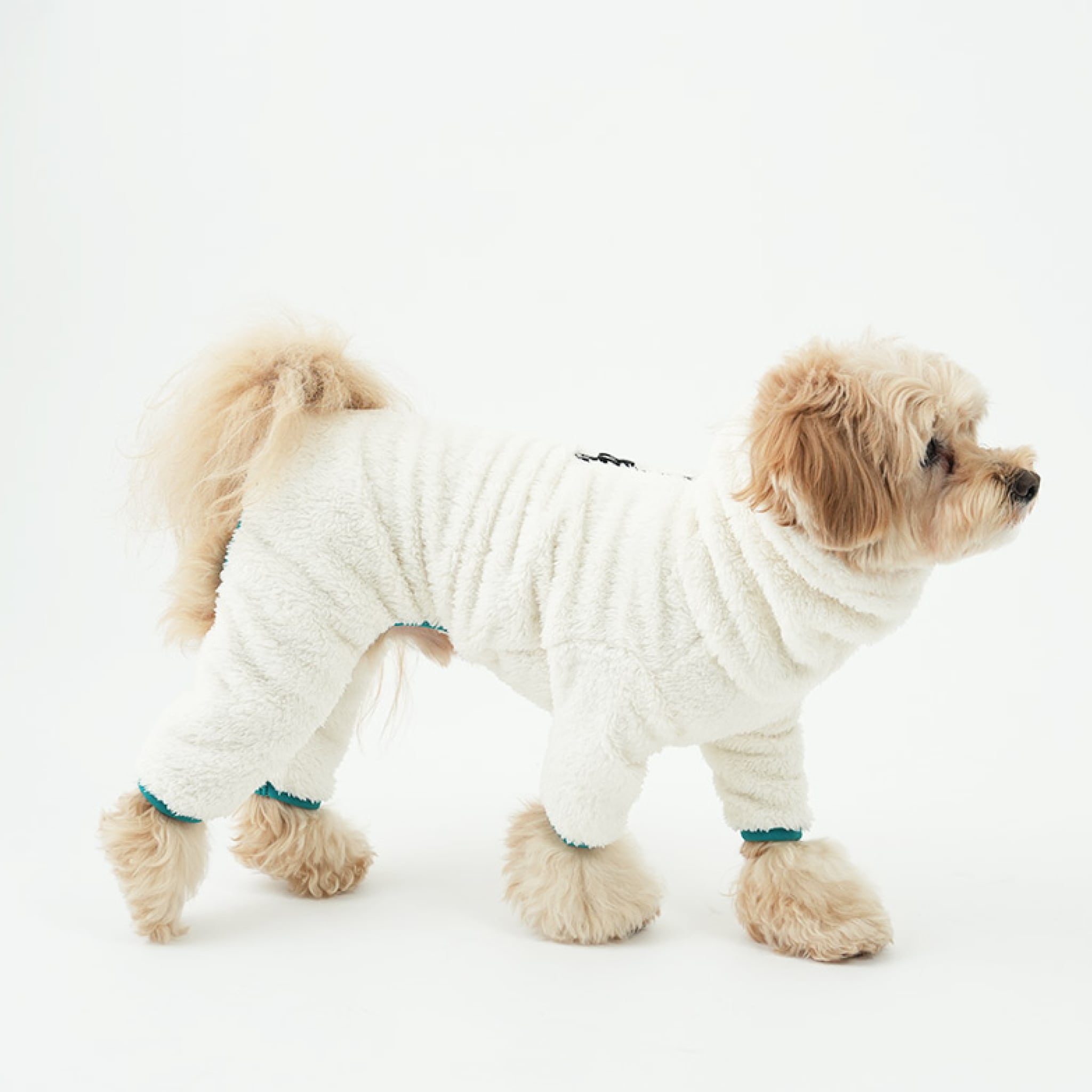 Dog wearing north fleece jumpsuit