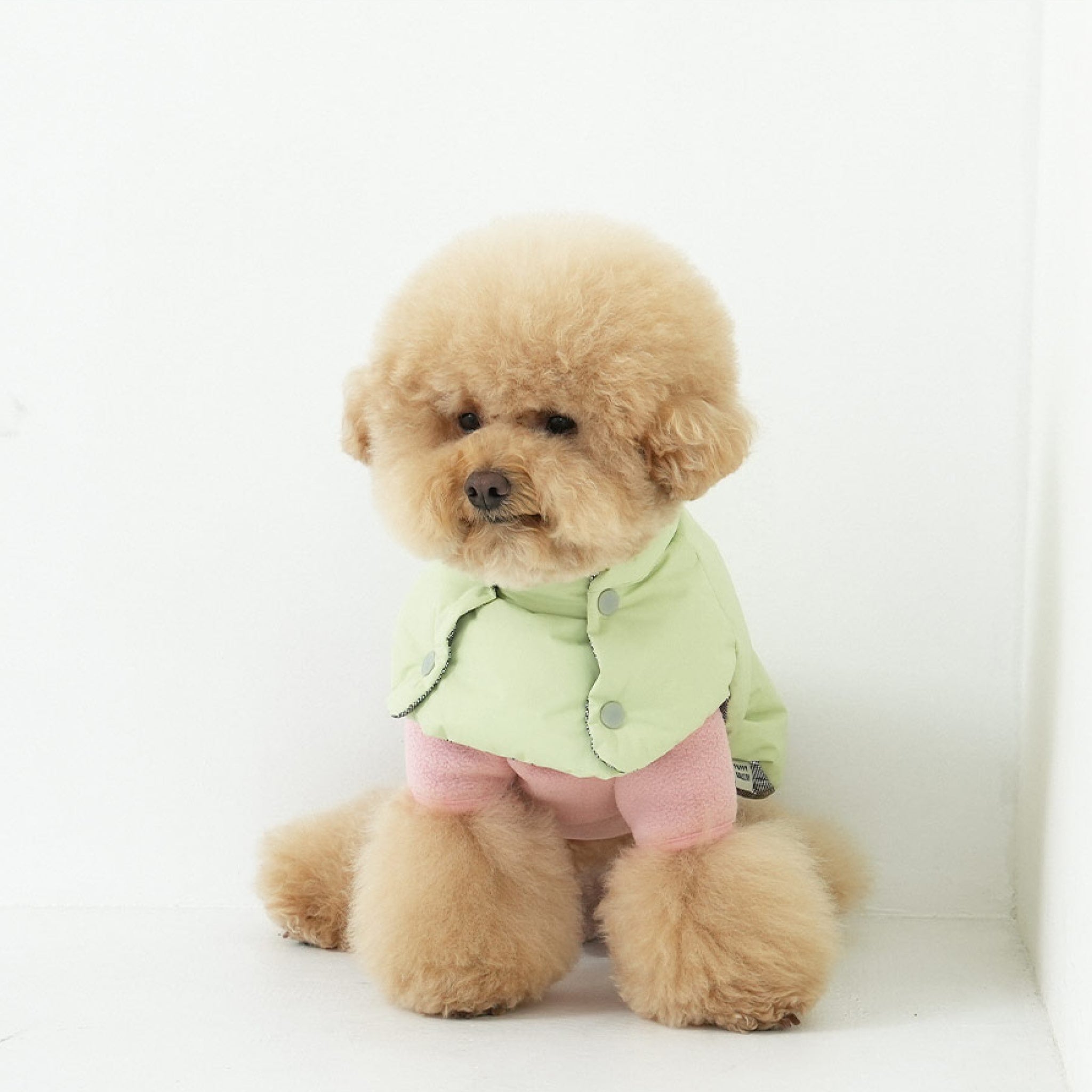Dog wearing the fleece neck warmer padded jacket set in green and pink