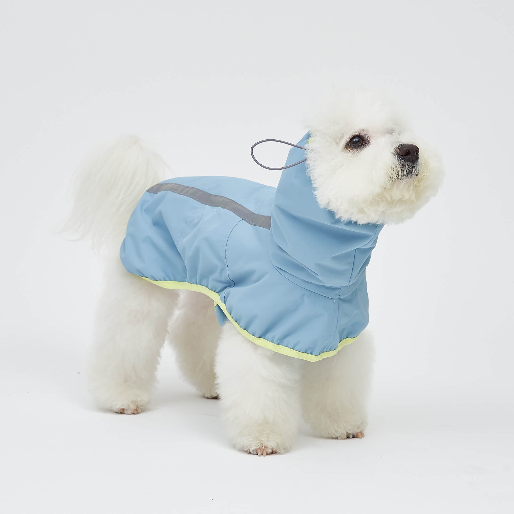 Rain coat in blue lemon. Model is wearing a L.