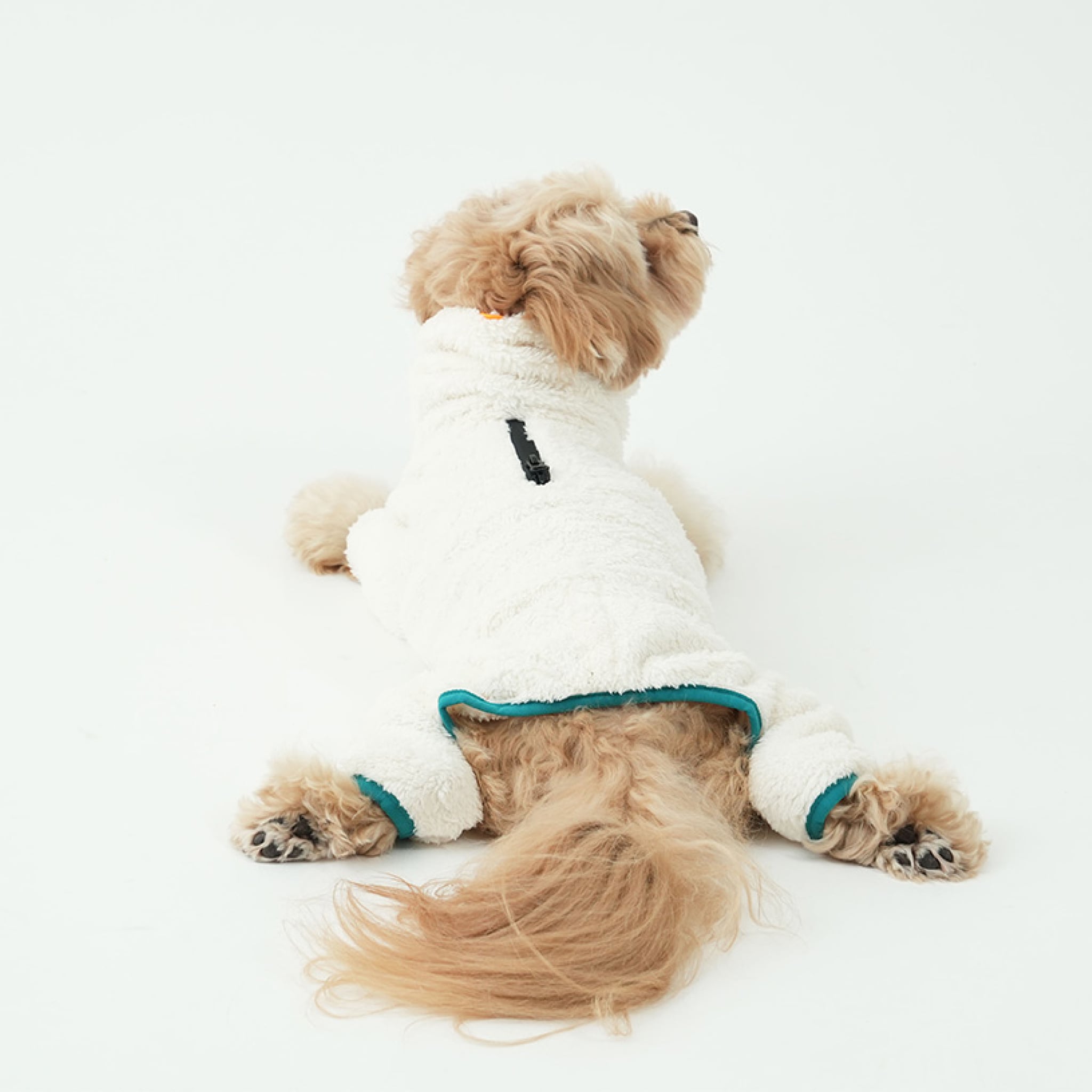 Dog wearing north fleece jumpsuit