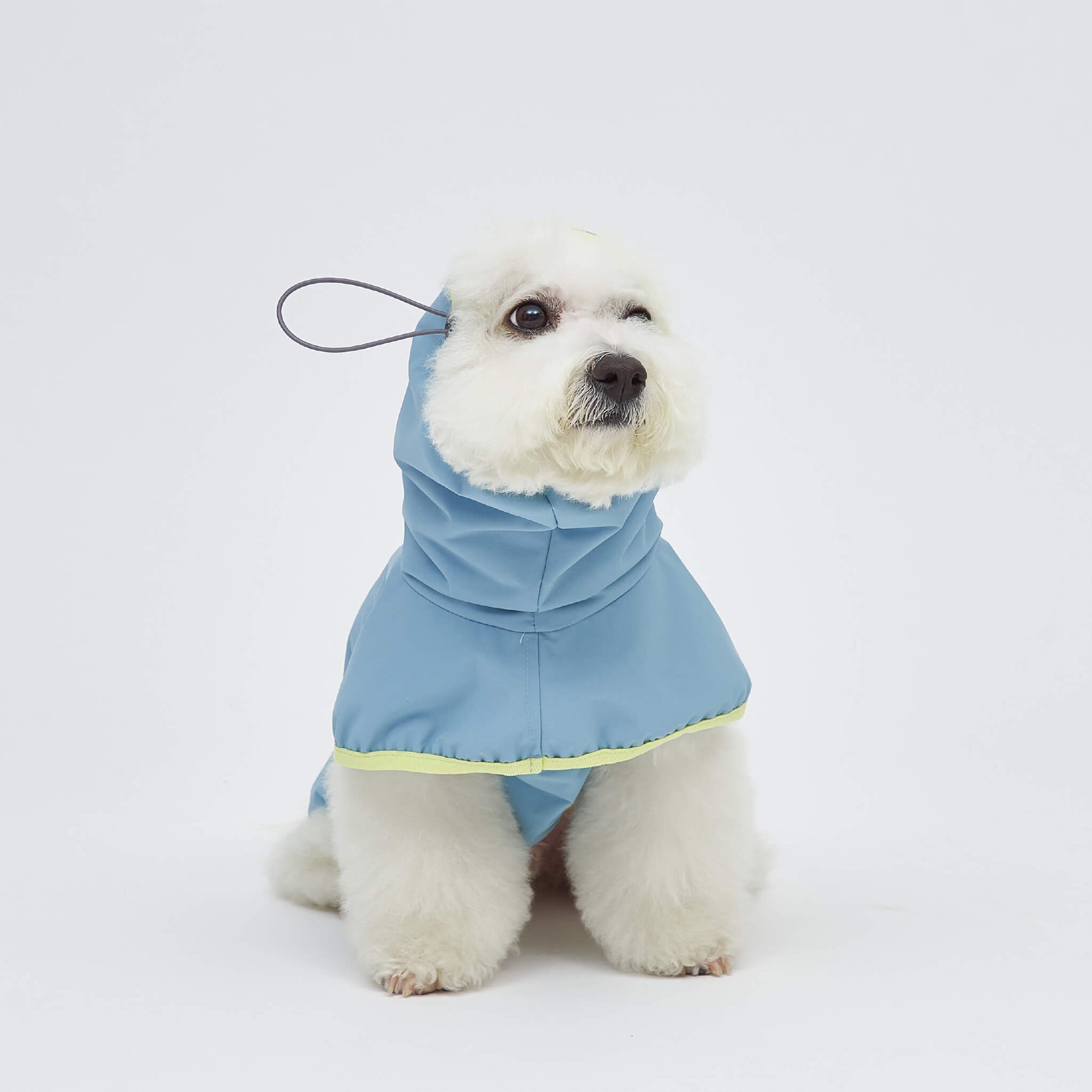 Rain coat in blue lemon. Model is wearing a L.