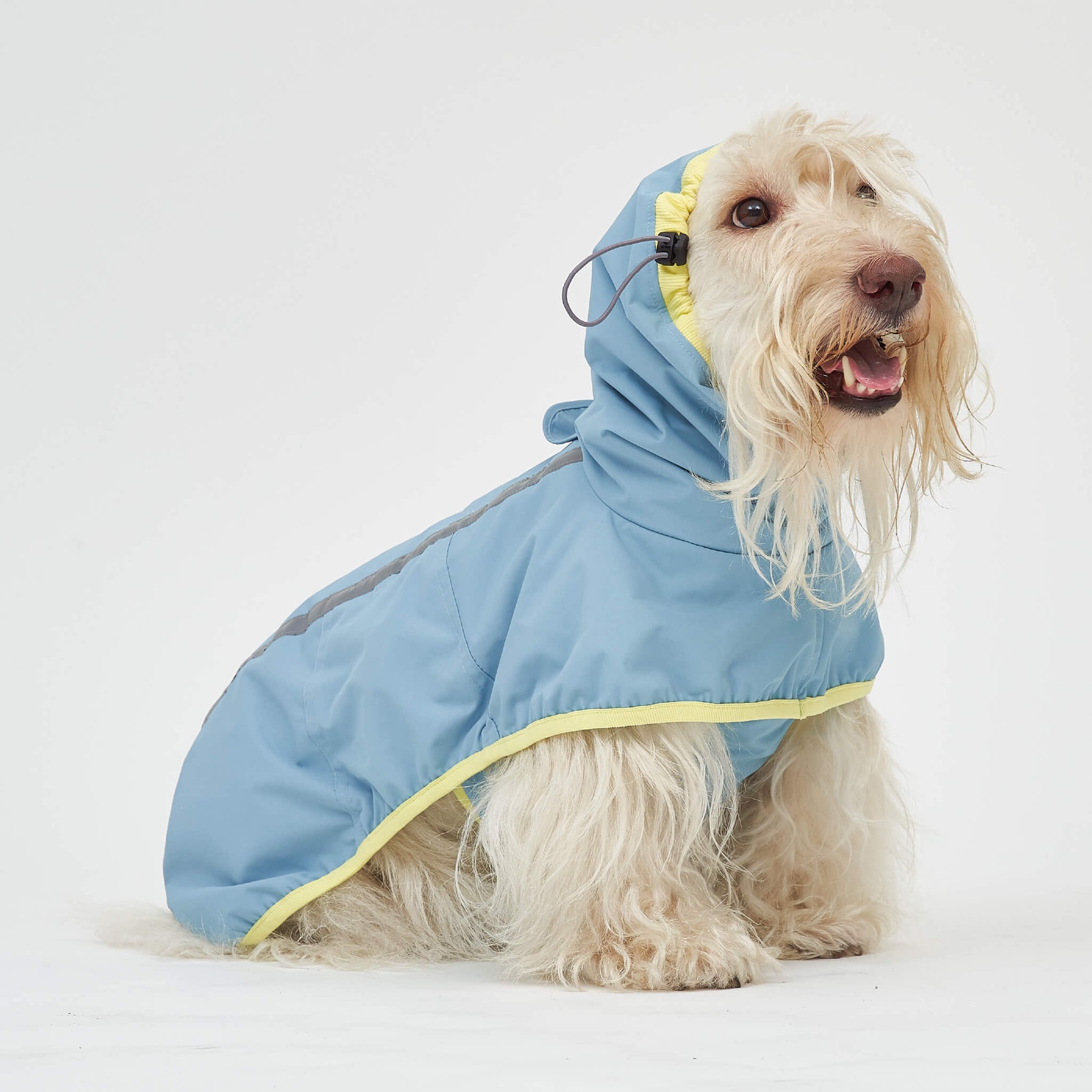 Rain coat in blue lemon. Model is wearing a 2L.