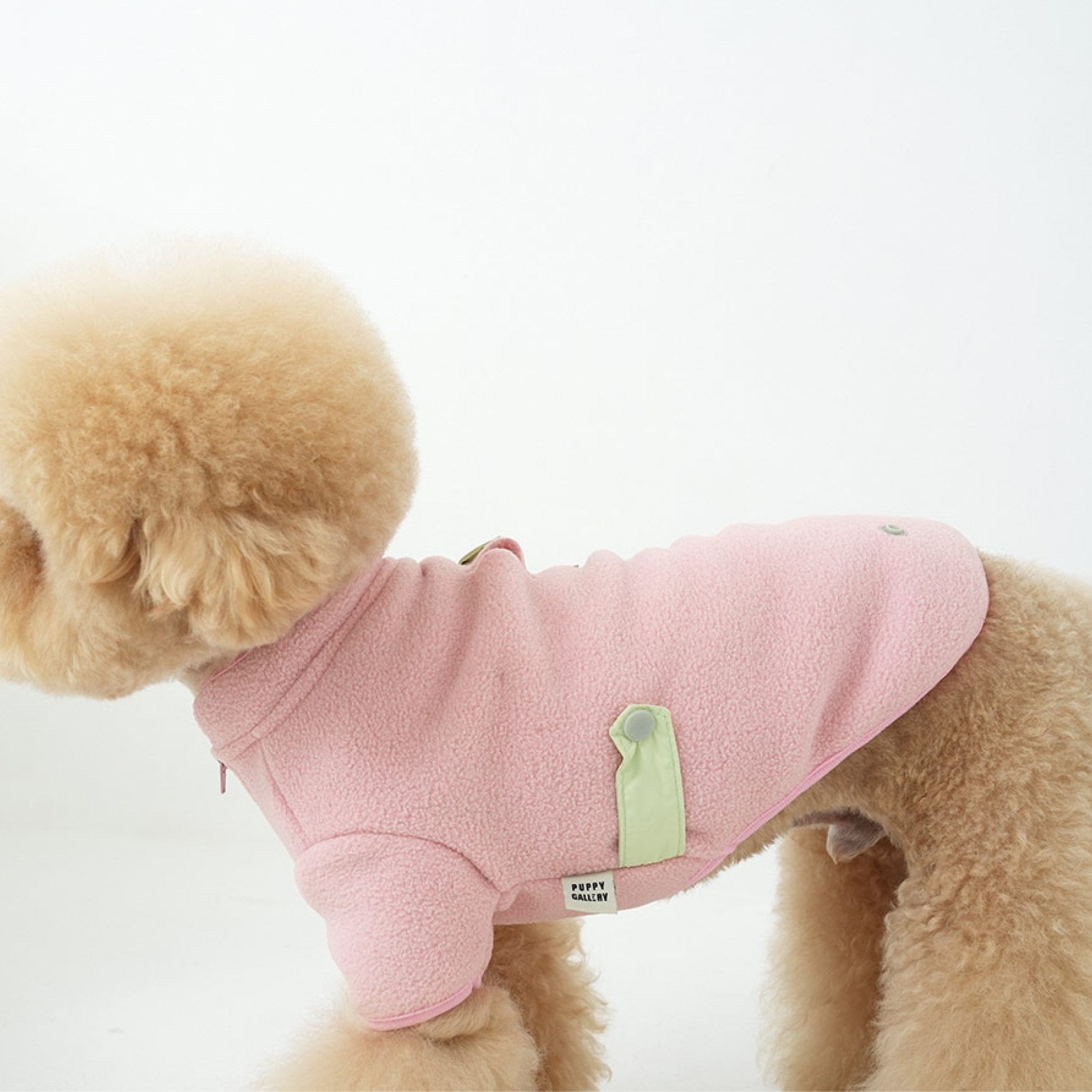 Dog wearing the fleece neck warmer padded jacket set in green and pink