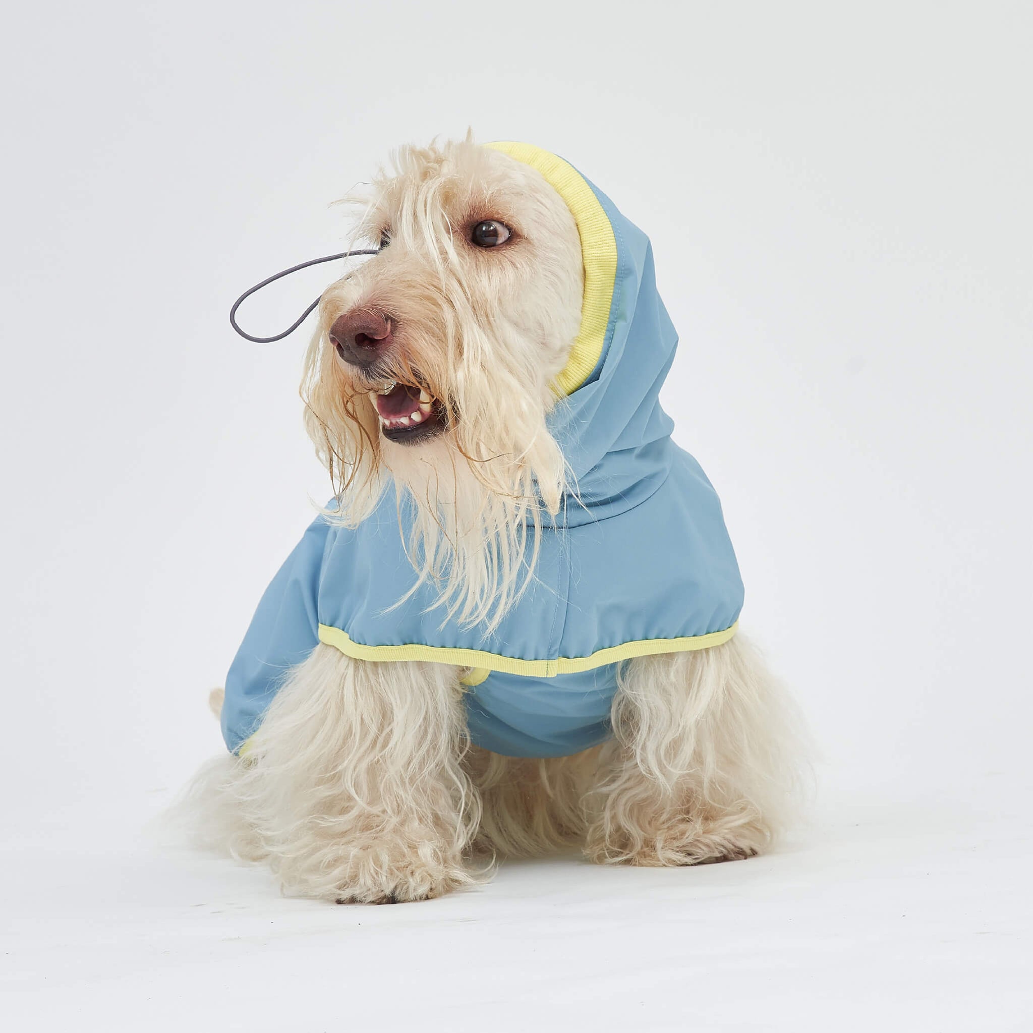 Rain coat in blue lemon. Model is wearing a 2L.