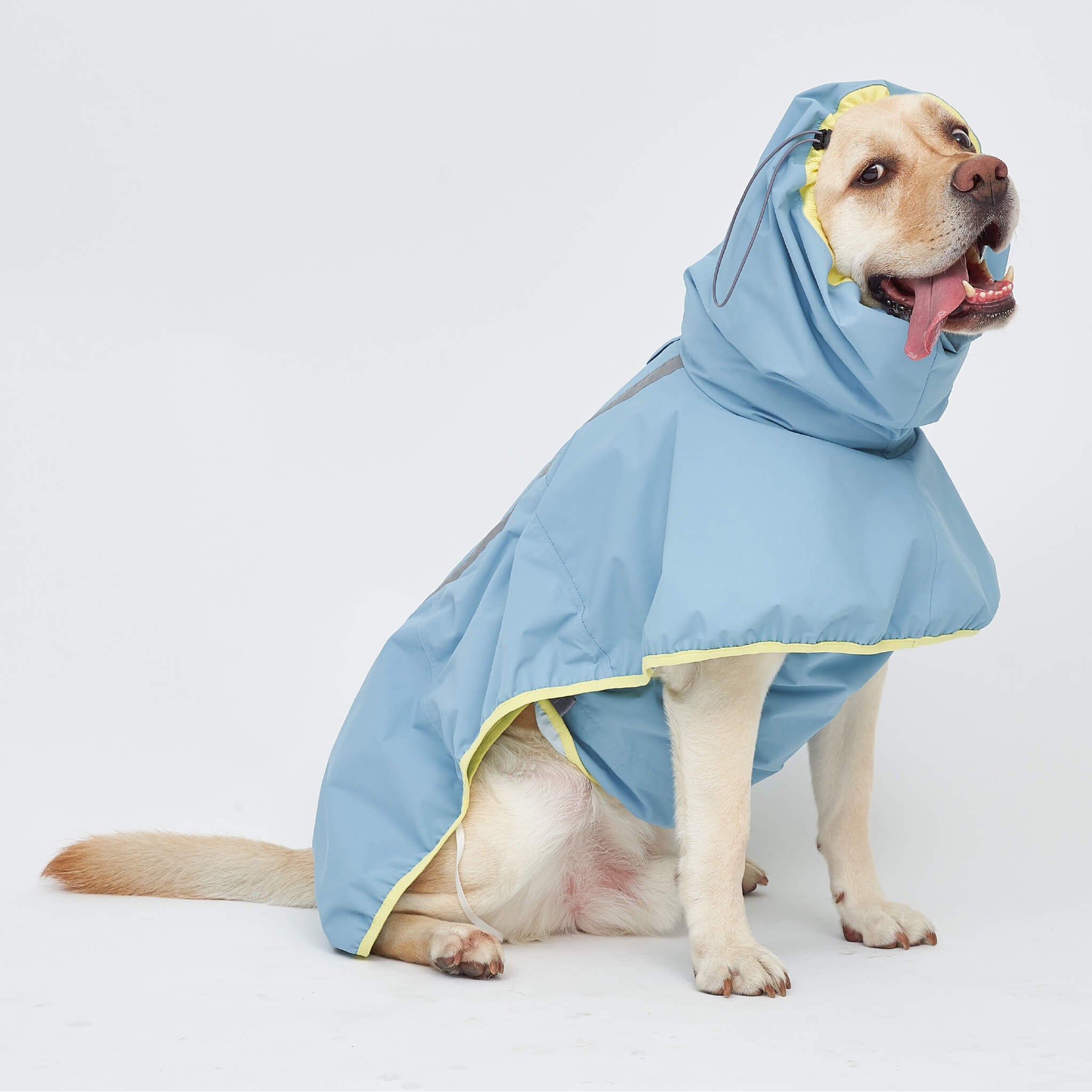 Rain coat in blue lemon. Model is wearing a 6L.