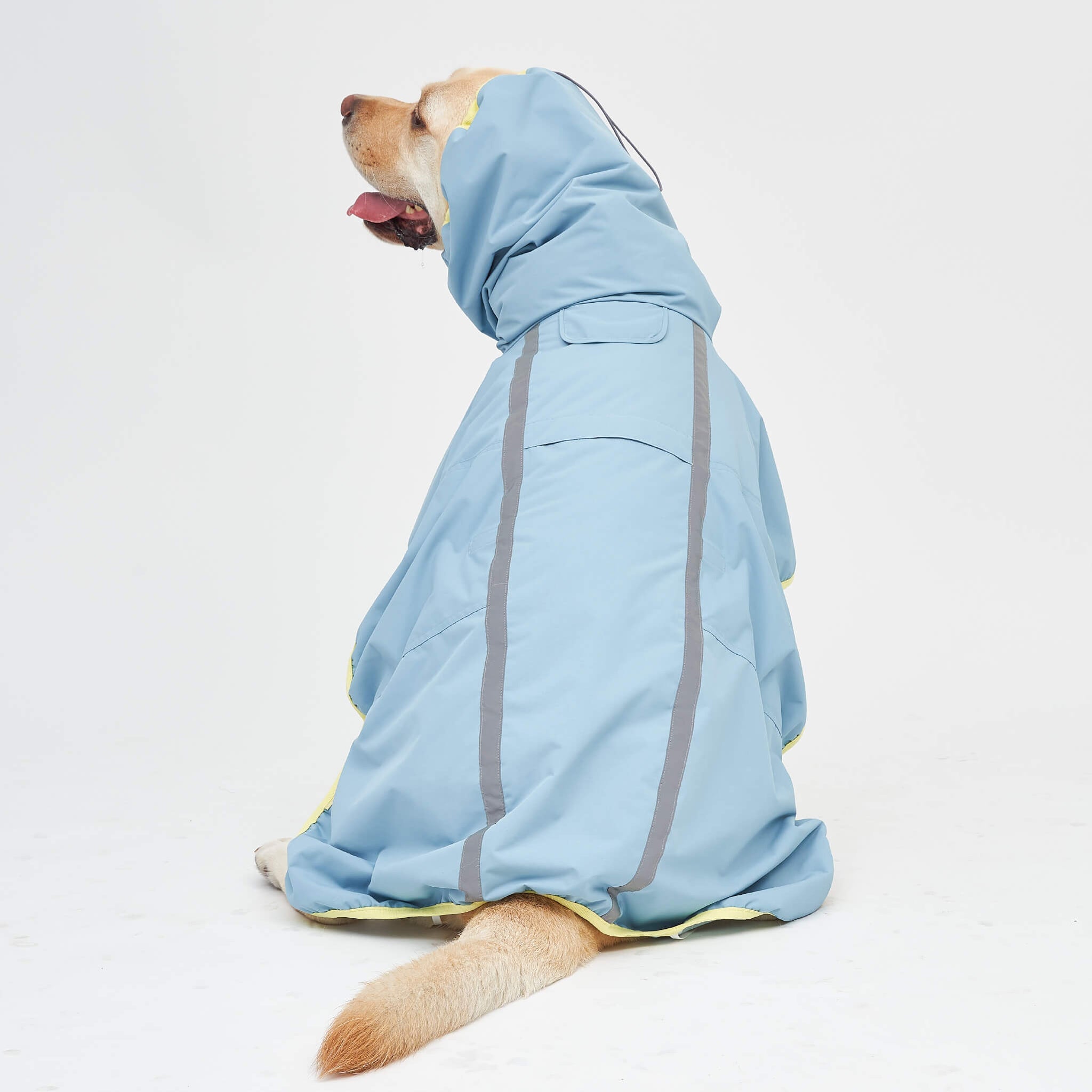 Rain coat in blue lemon. Model is wearing a 6L.