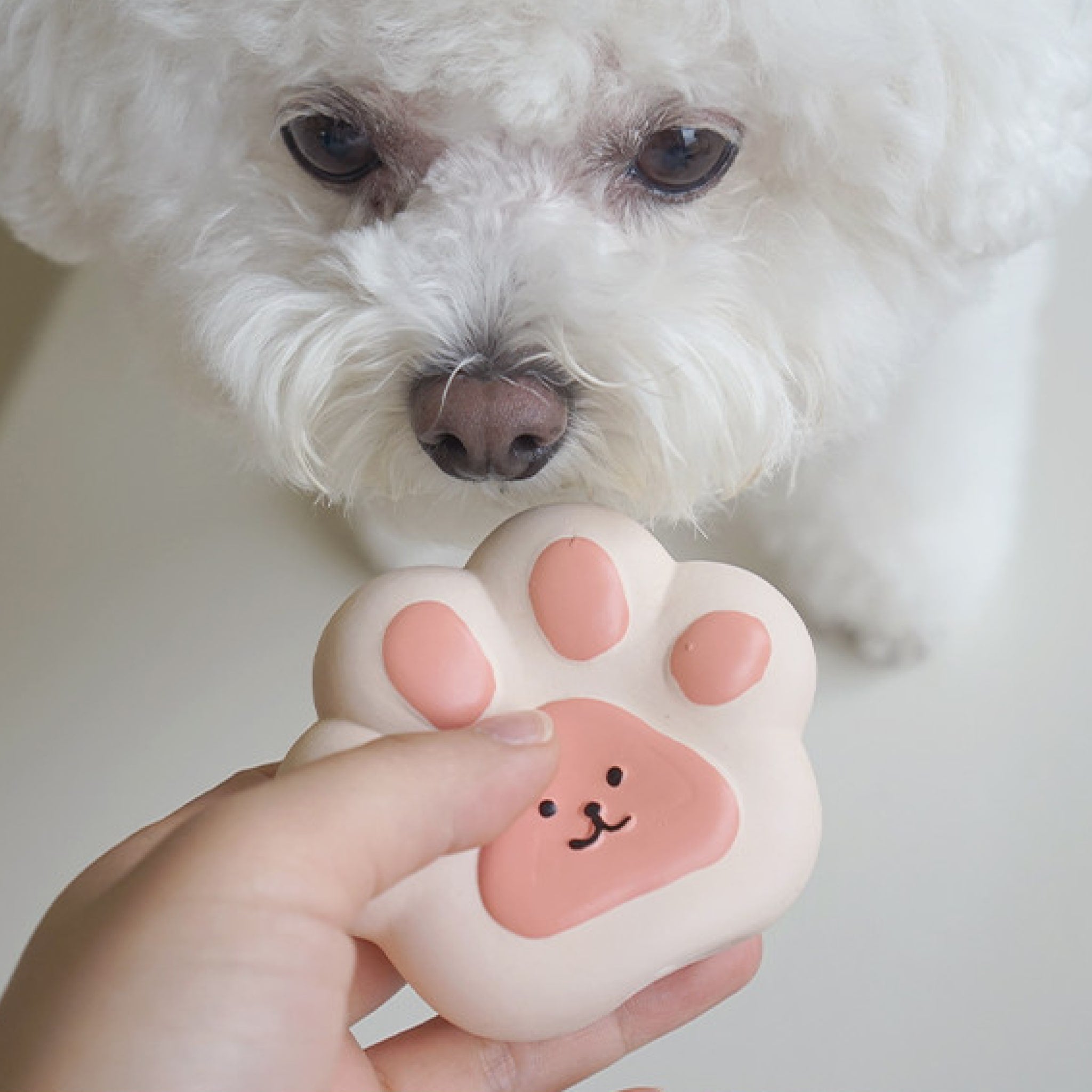 dog sniffing the jelly paw toy