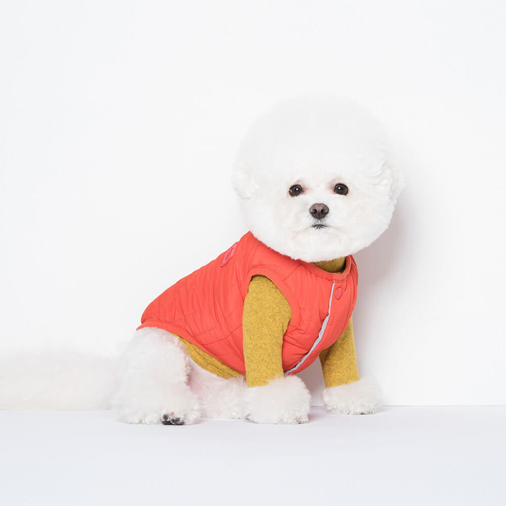 Padded, reversible vest. Model is wearing a SM & weighs 6 pounds (2.8 kg).