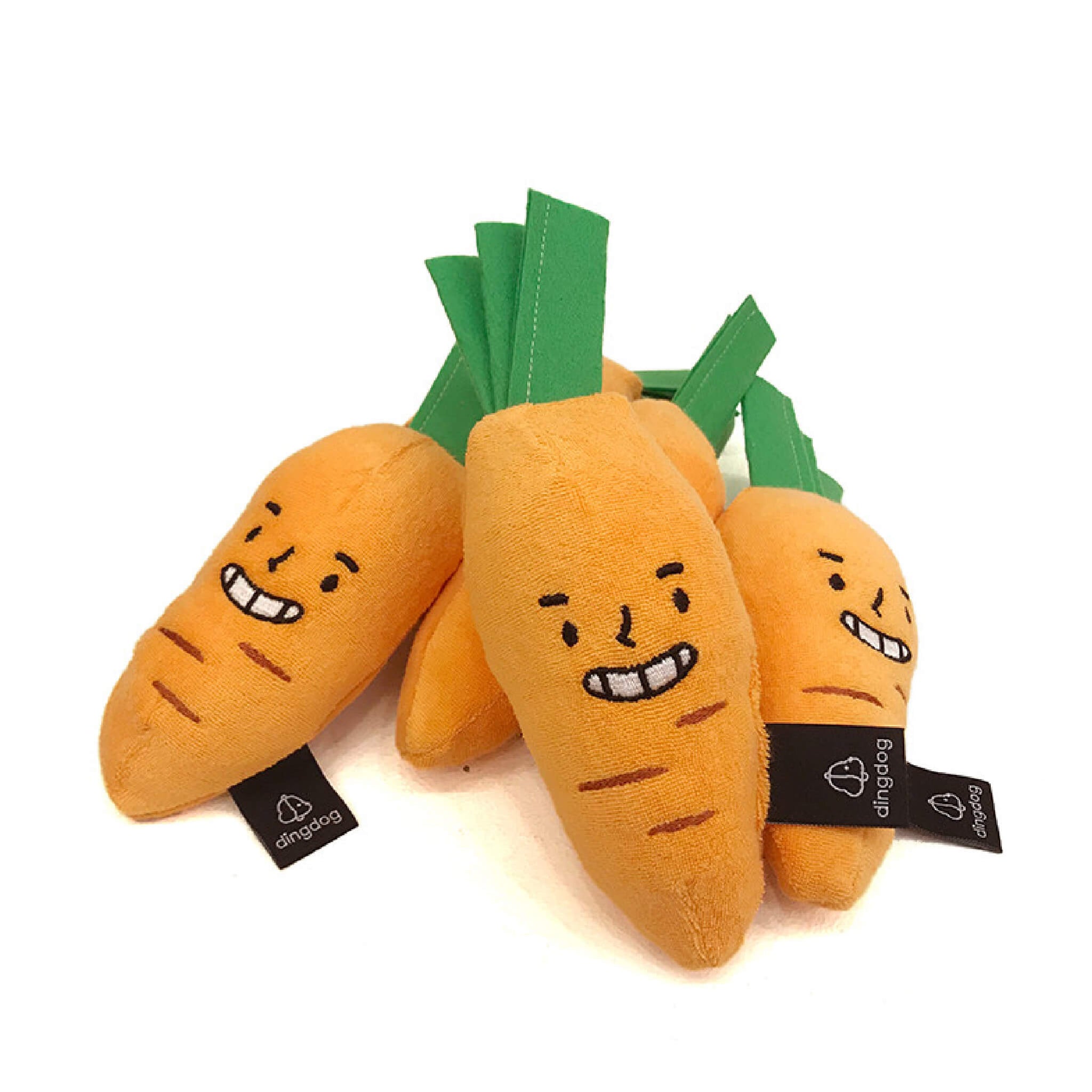 Carrot nosework toy.