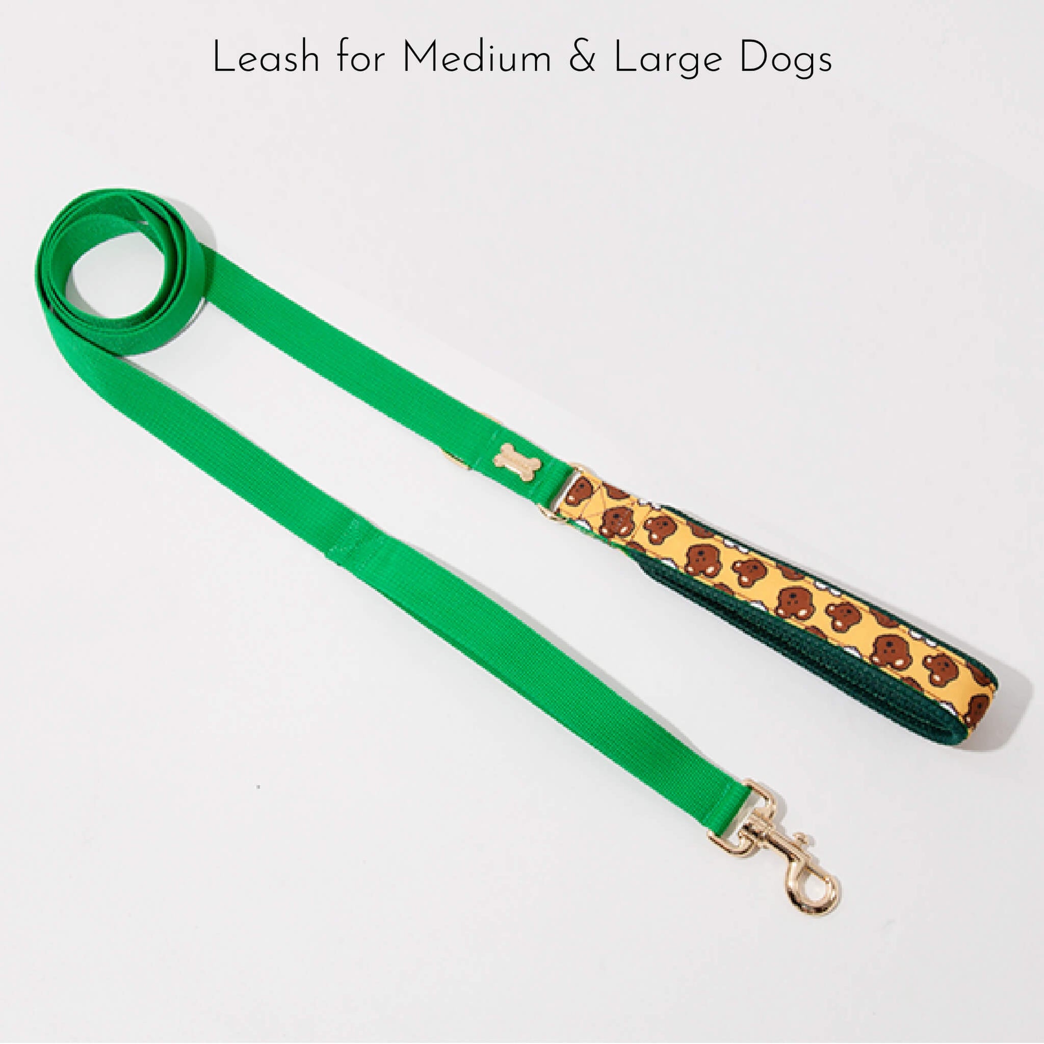 leash for medium & large dogs