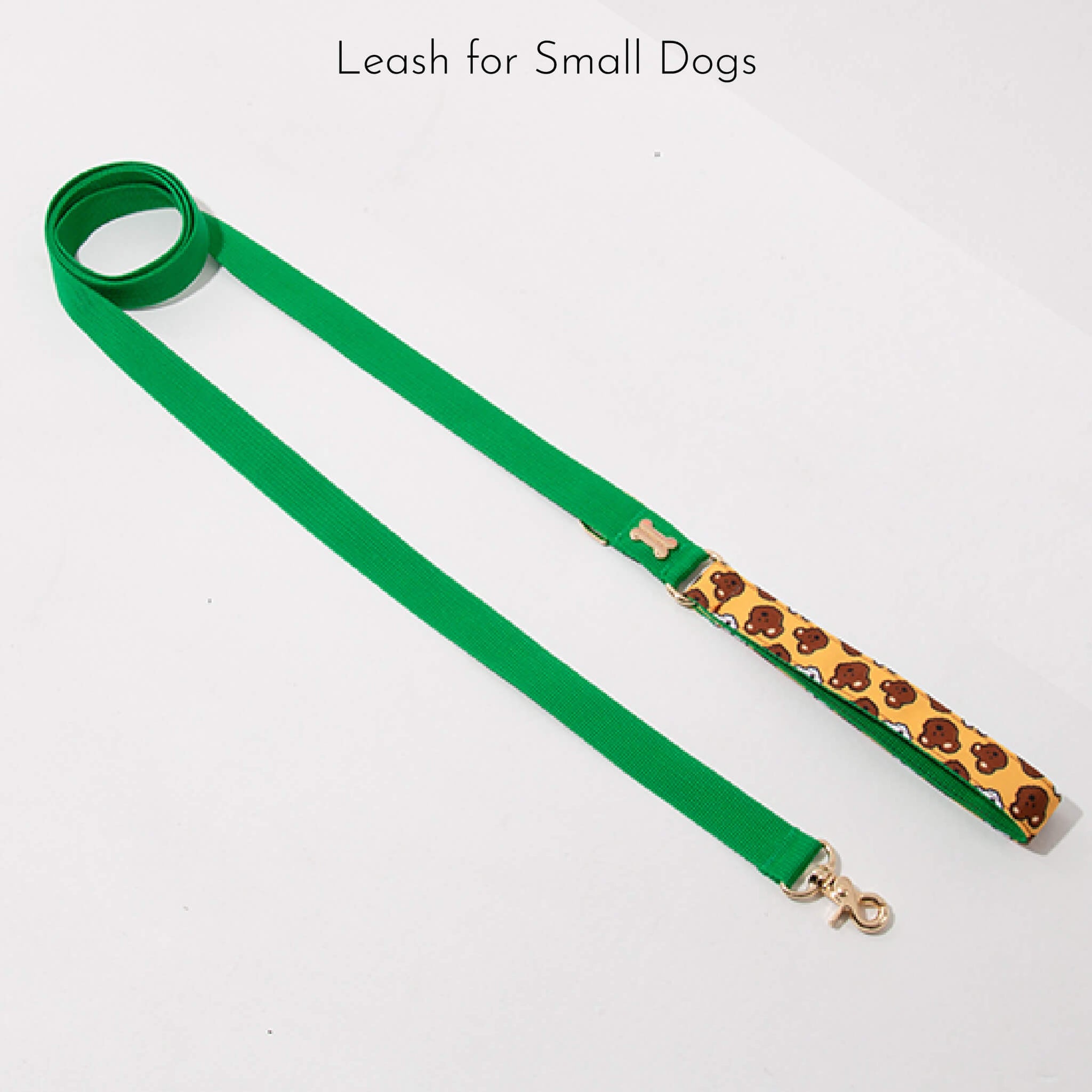 leash for small dogs