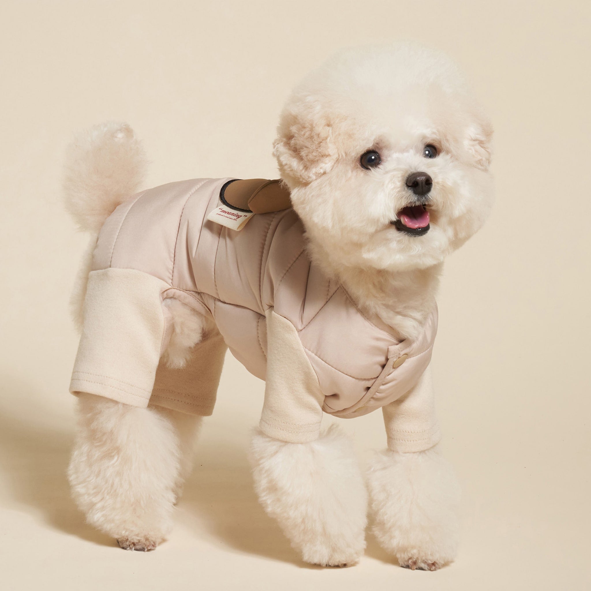 Dog wearing beige padded bear jumpsuit while standing