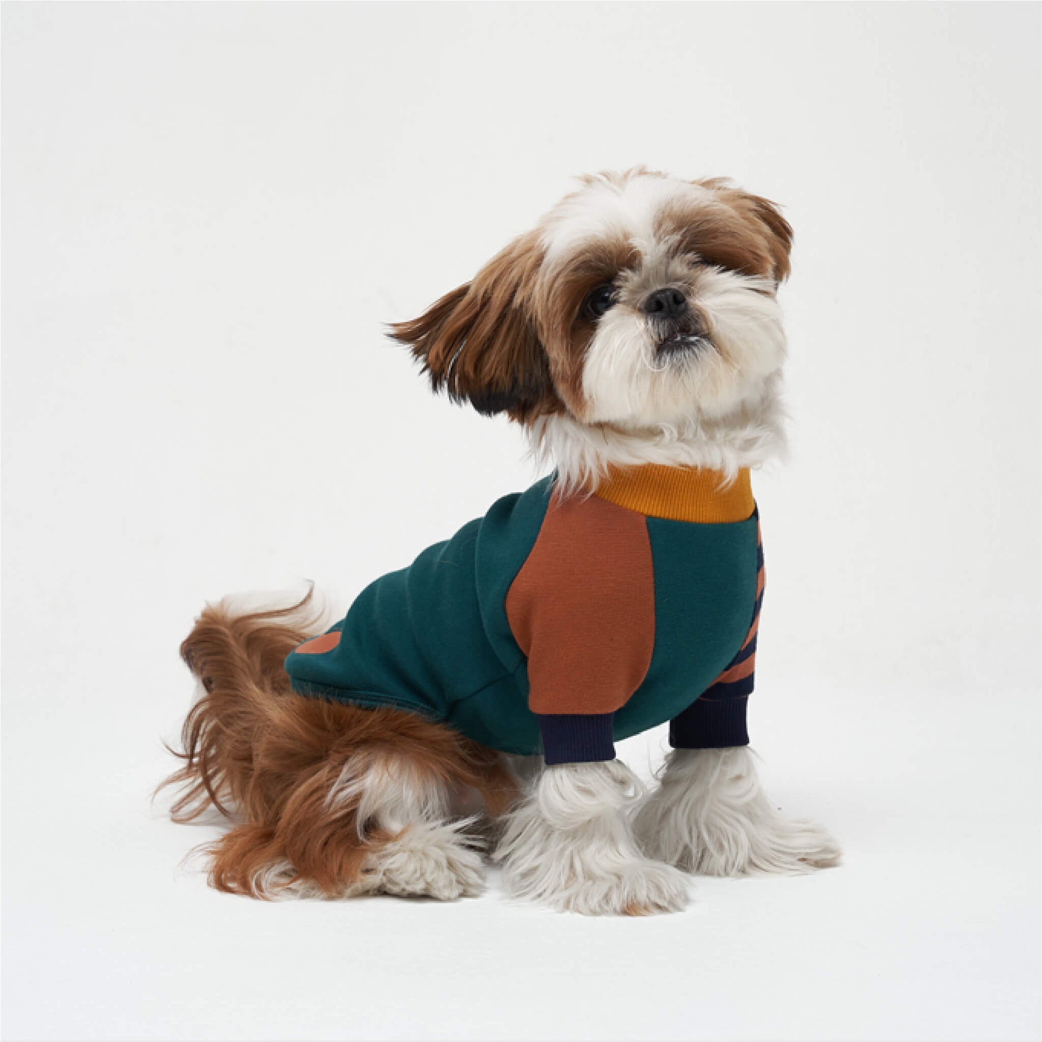 Lake louise pullover in green. Model is wearing a M.
