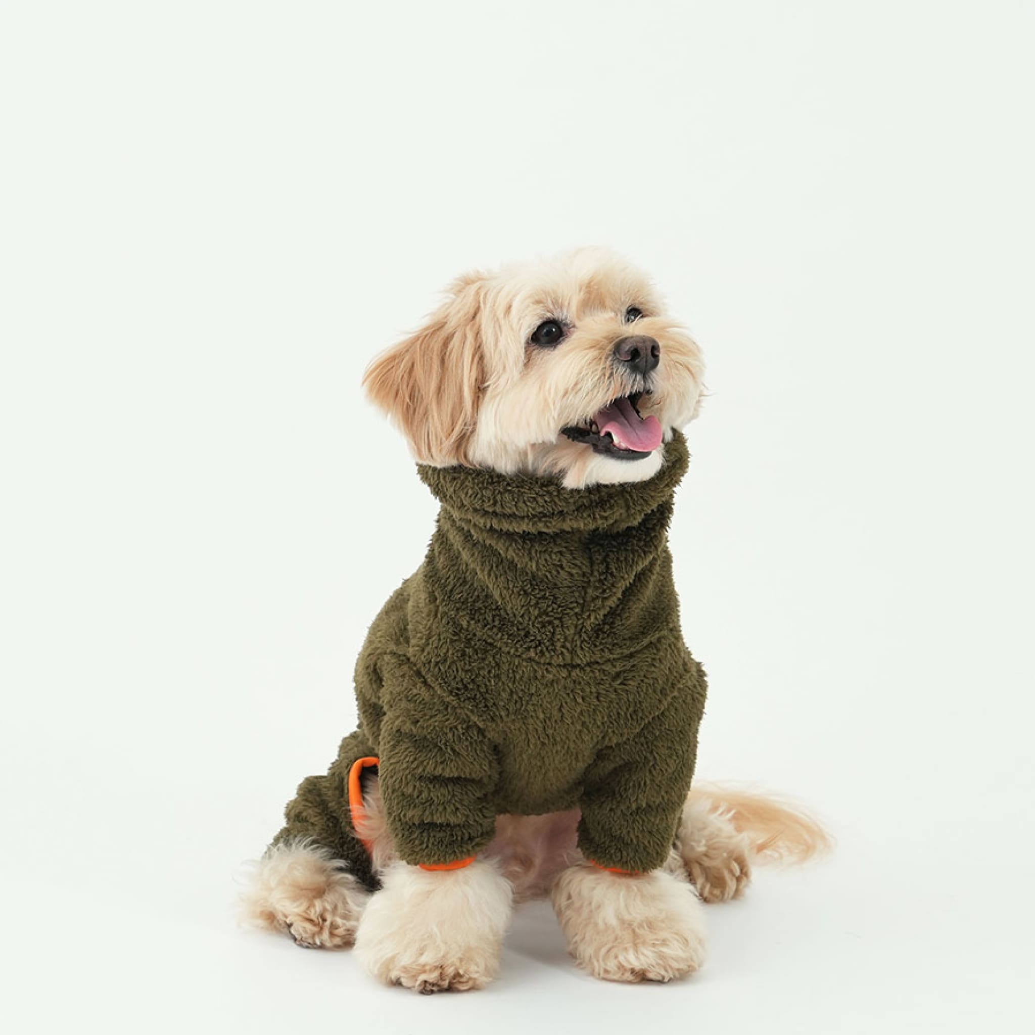 Dog wearing north fleece jumpsuit