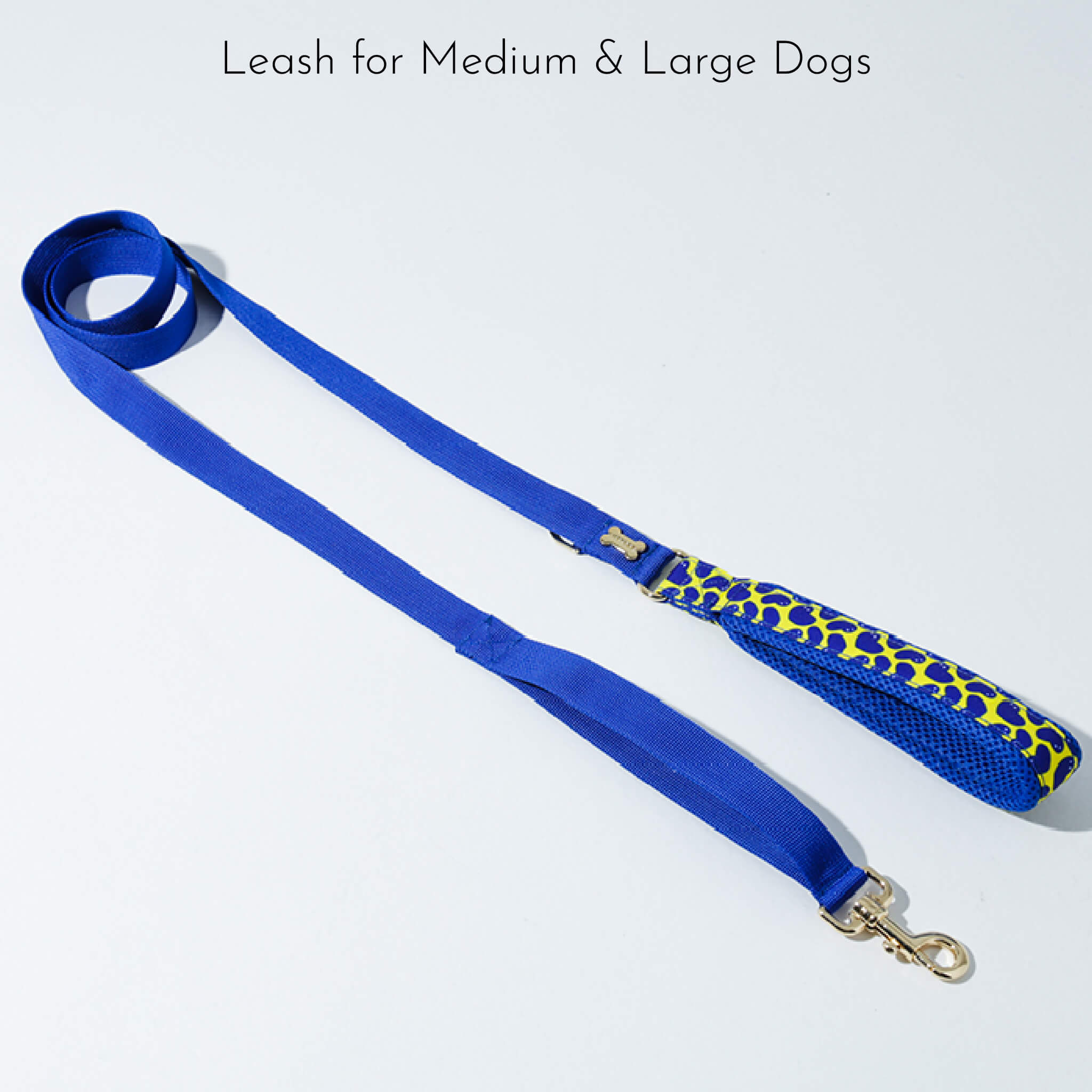 leash for medium & large dogs