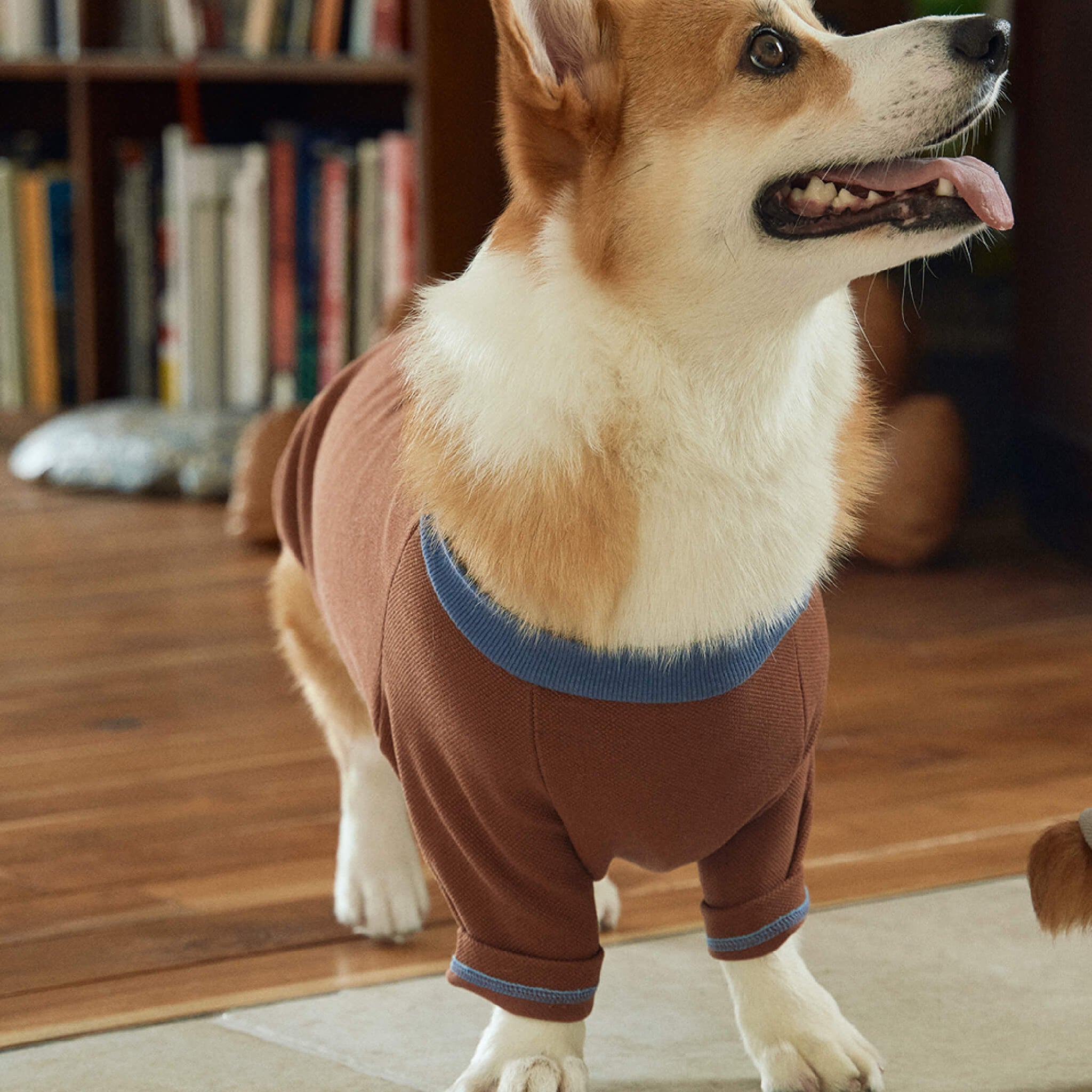 Nies pullover in brown. Model is wearing a size 3L.