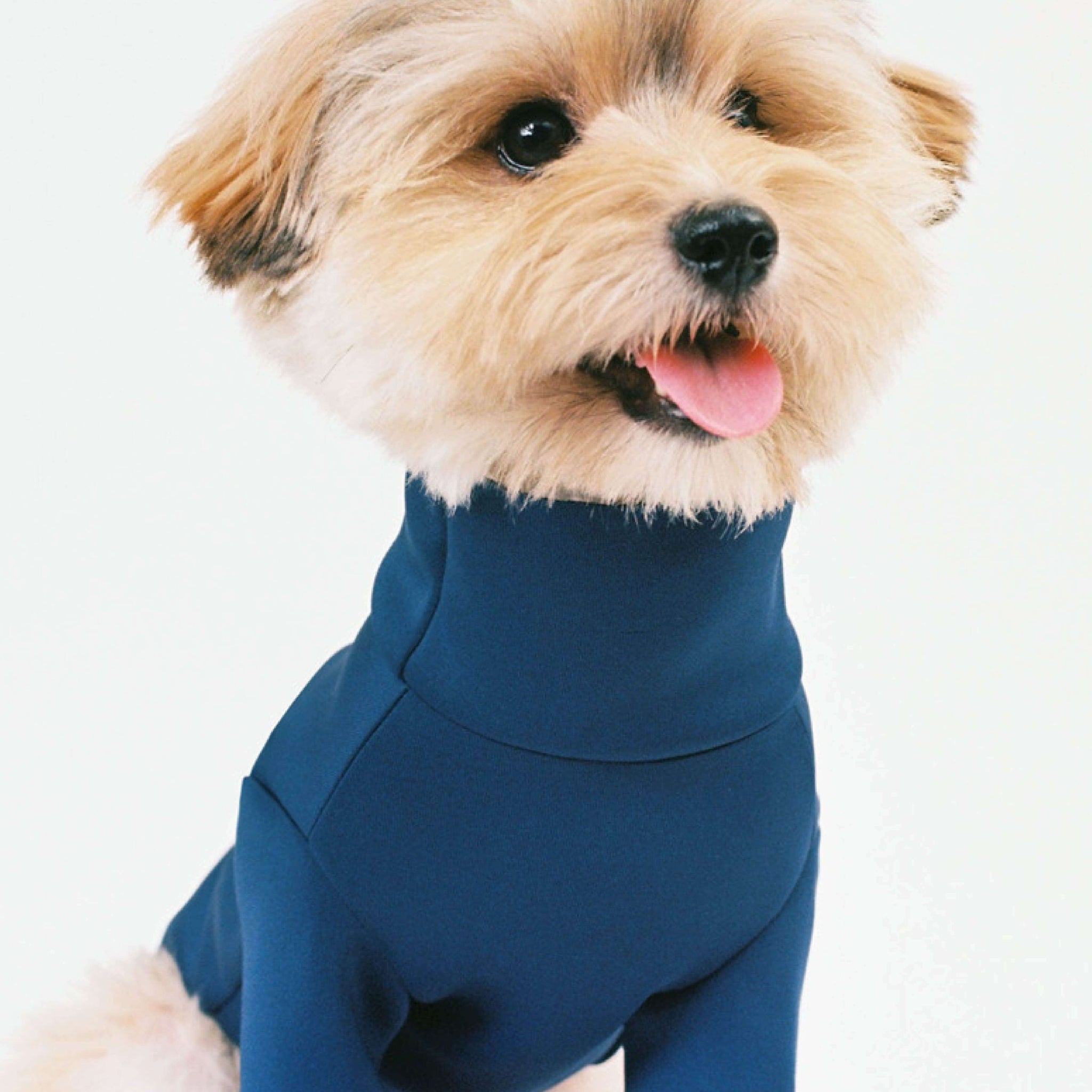 Turtleneck t-shirt made of neoprene material in navy. Model is wearing a L & weighs 11 pounds (5 kg).