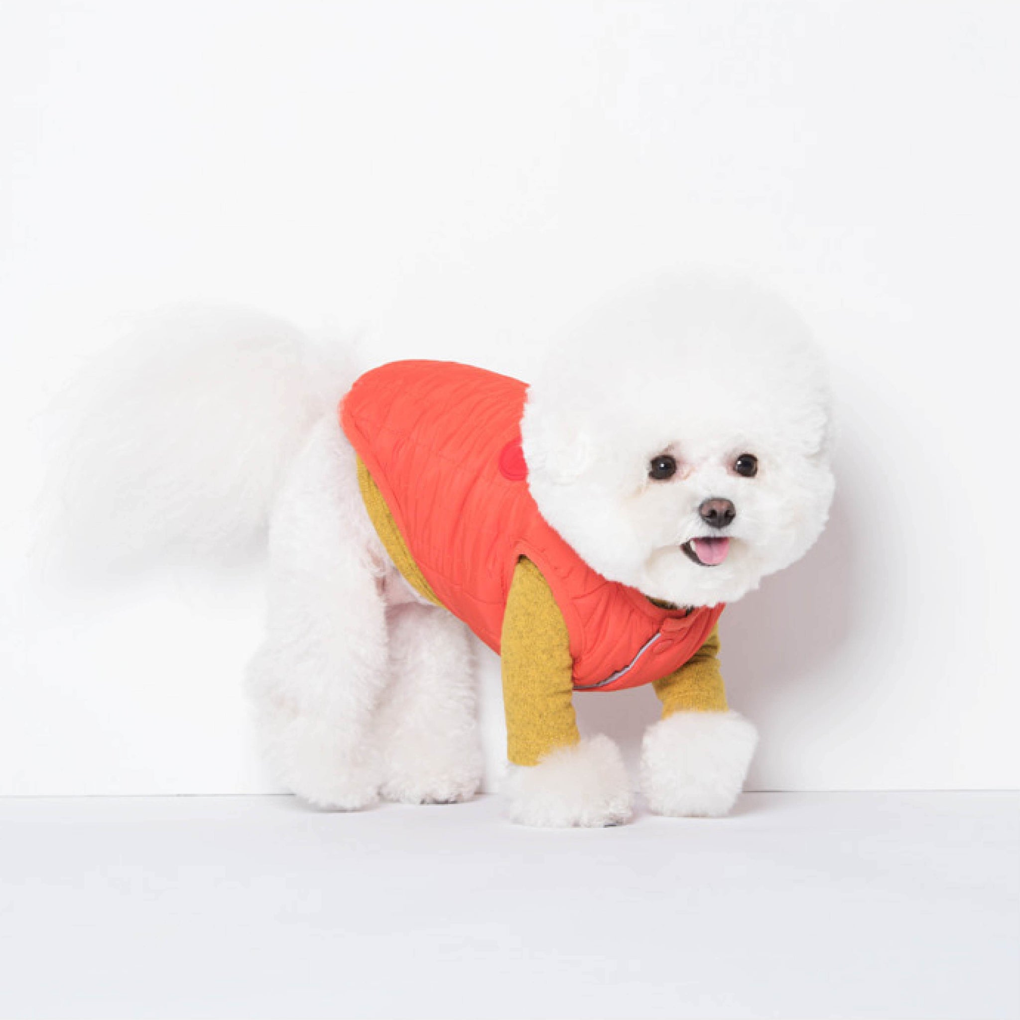 Padded, reversible vest. Model is wearing a SM & weighs 6 pounds (2.8 kg).