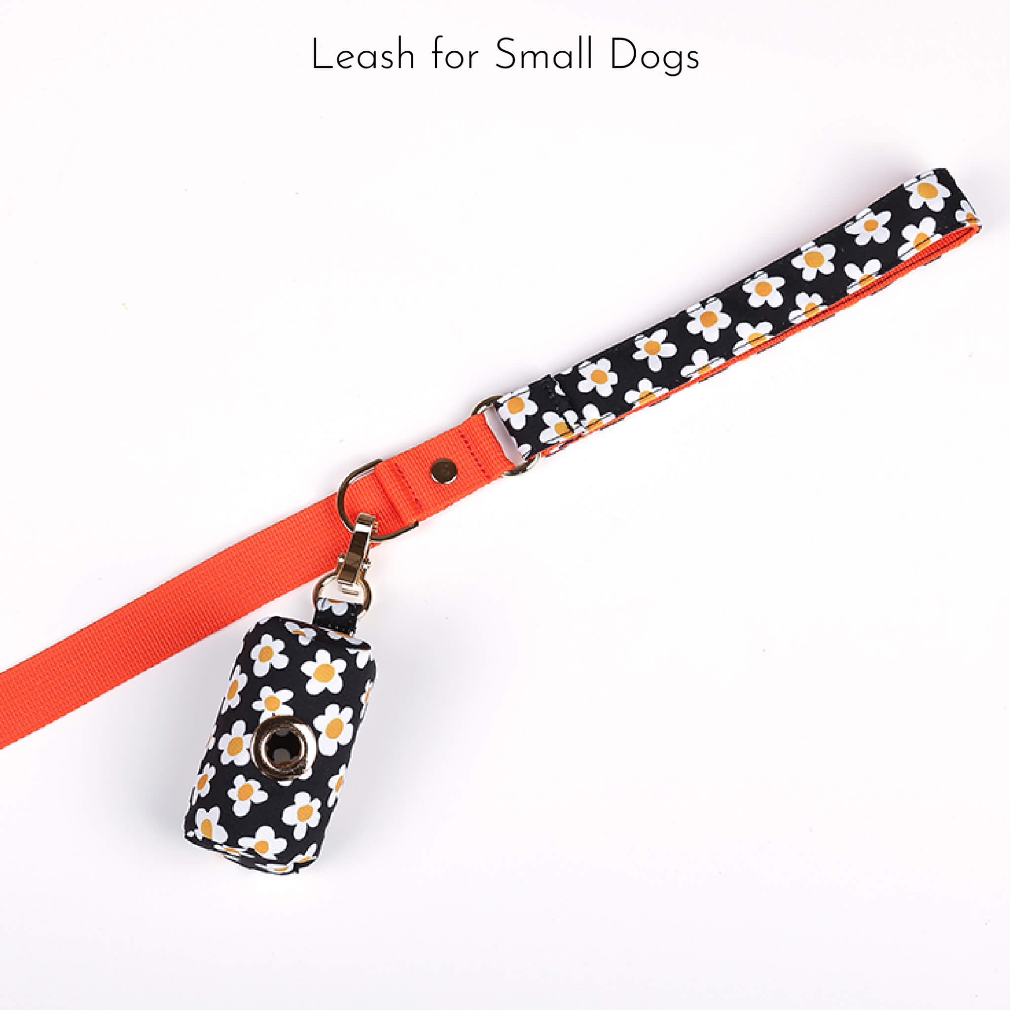 leash for small dogs